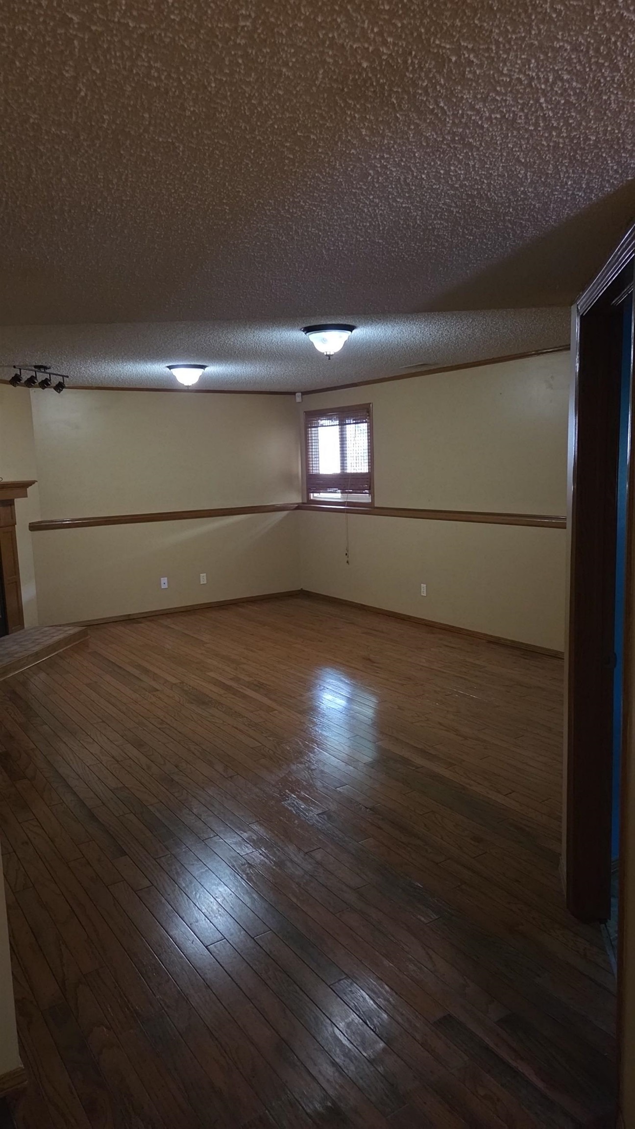 11402 W Cindy St Property Photo 17