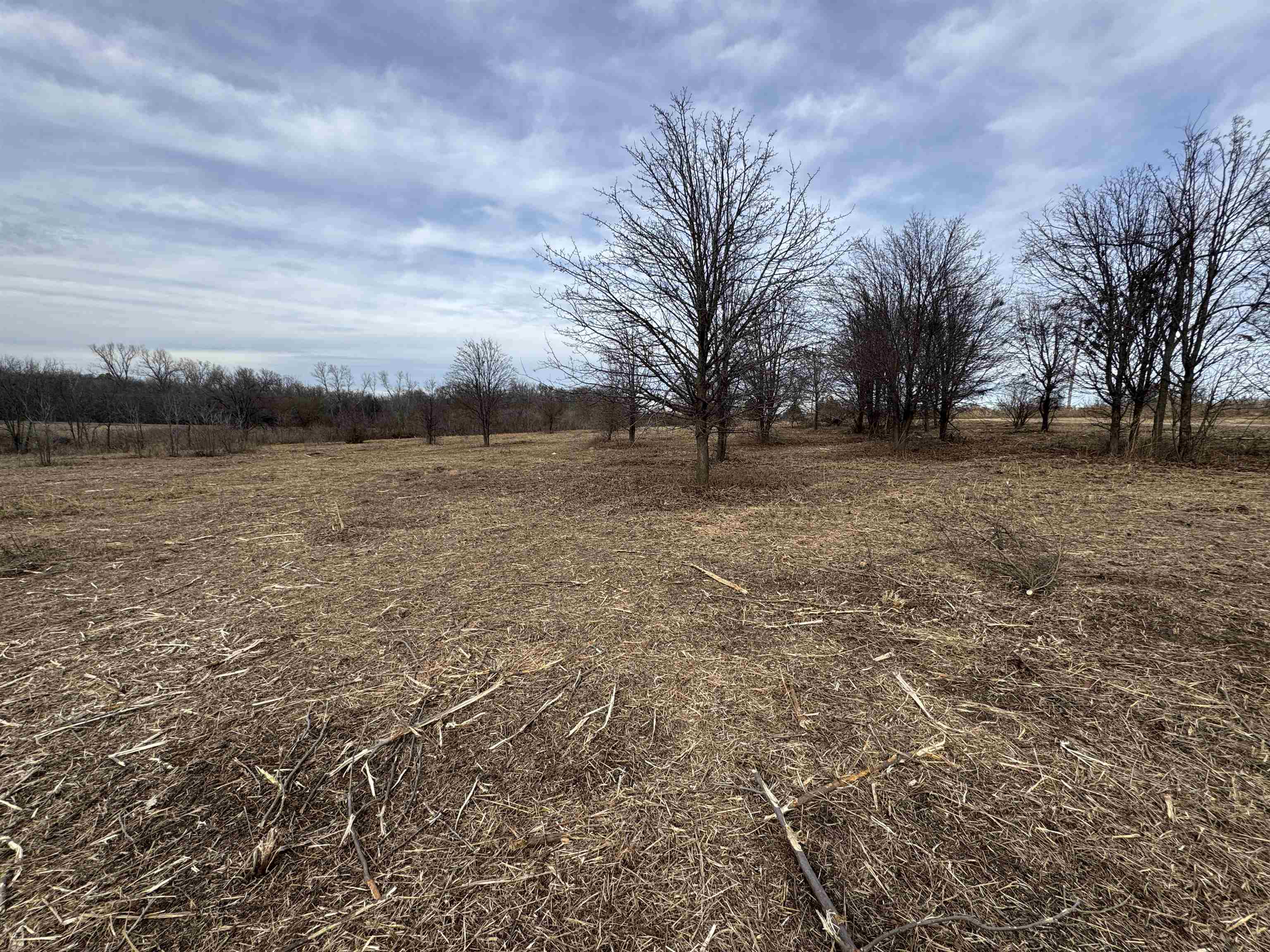 000 E Coleman Rd. Property Photo 4
