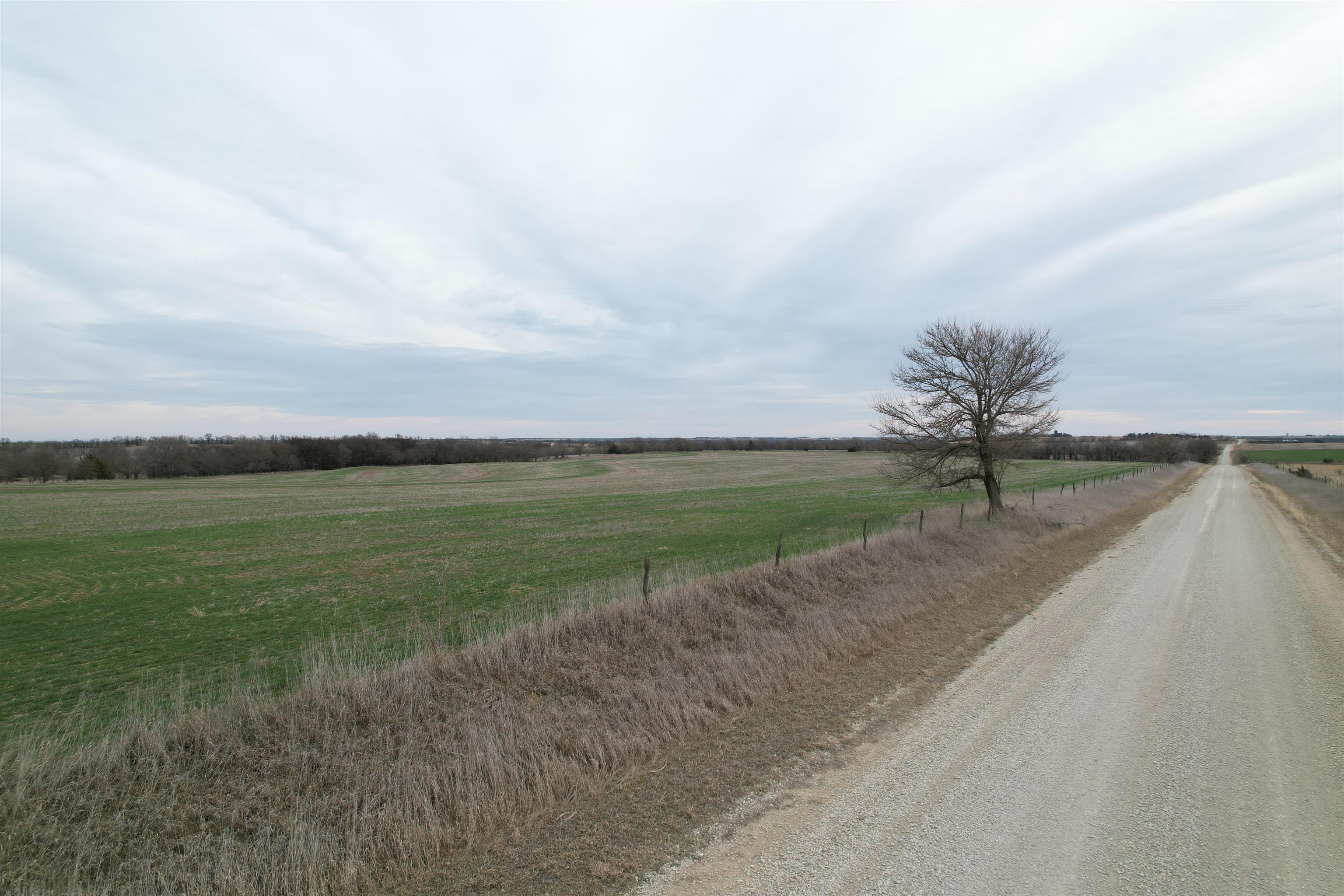 0000 Daisy Road Property Photo 2