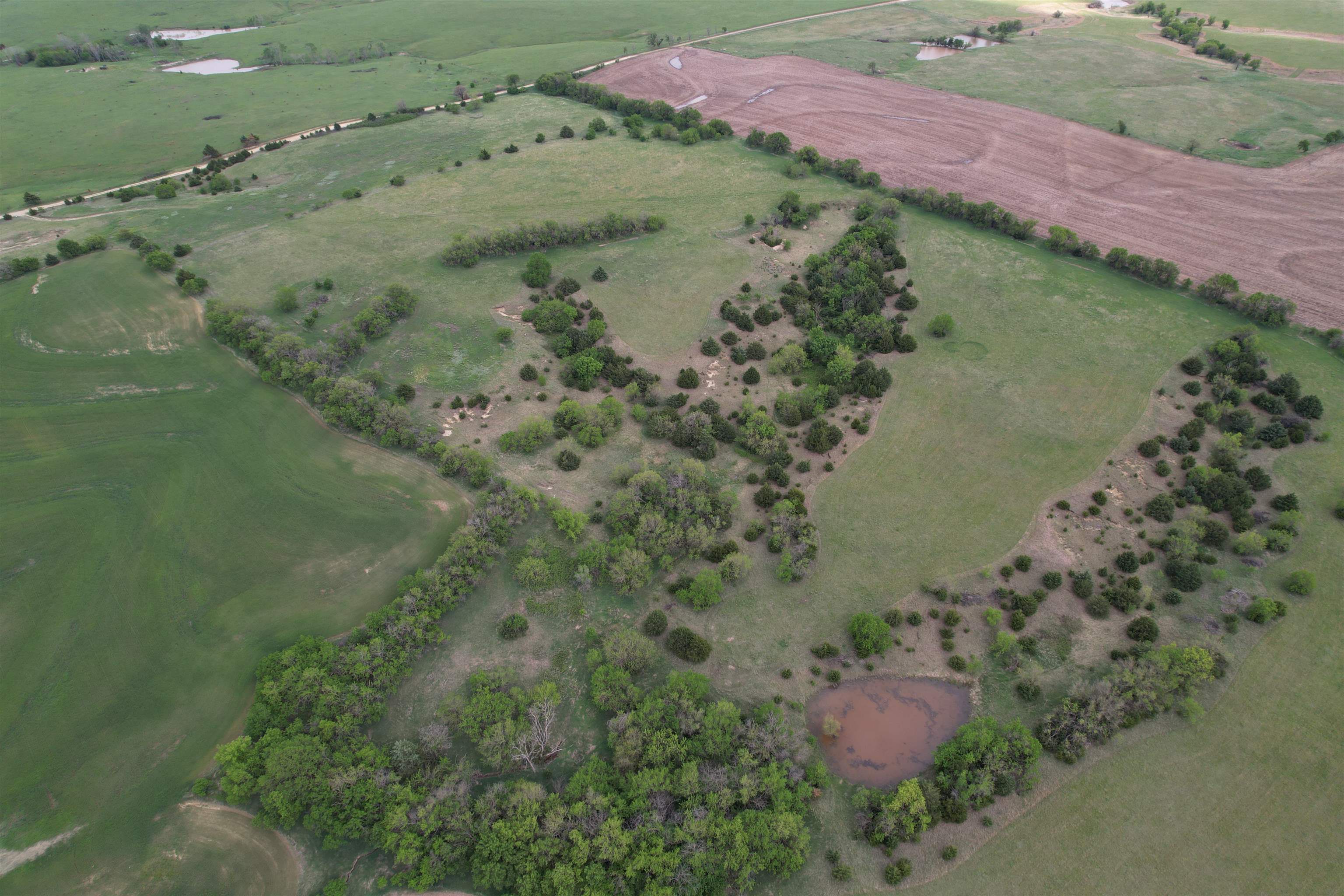 797 Camp Road Property Photo 8
