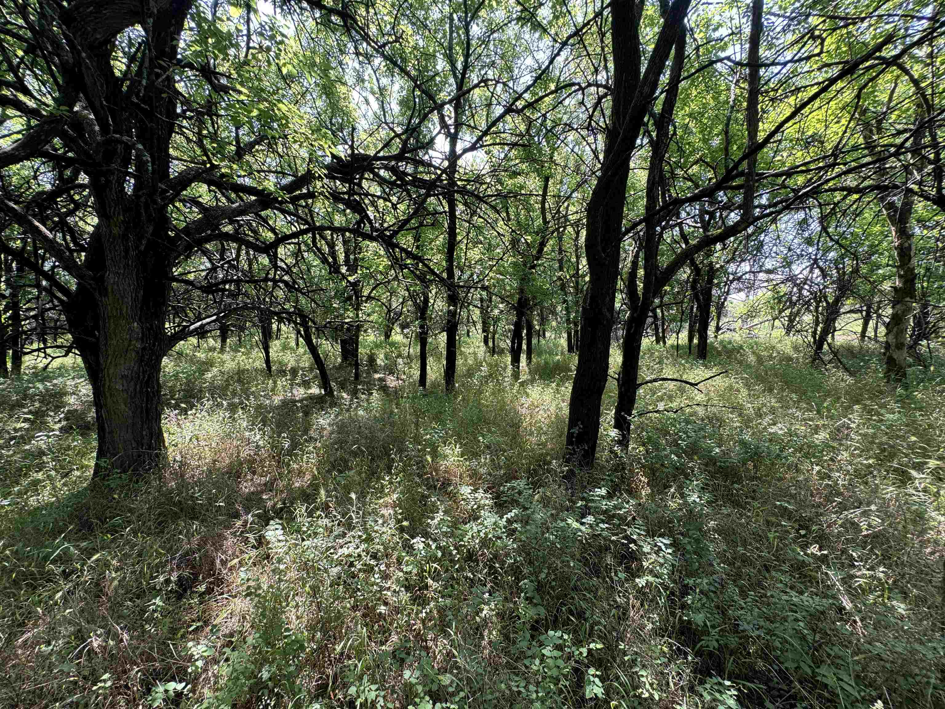 251 Z50 Road Property Photo 4