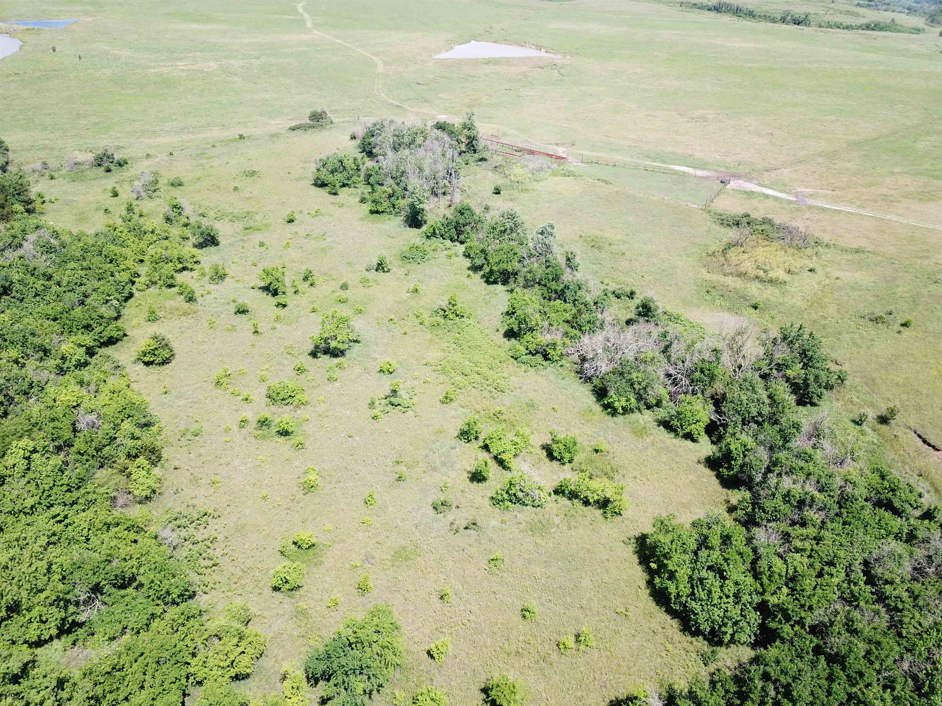 251 Z50 Road Property Photo 10