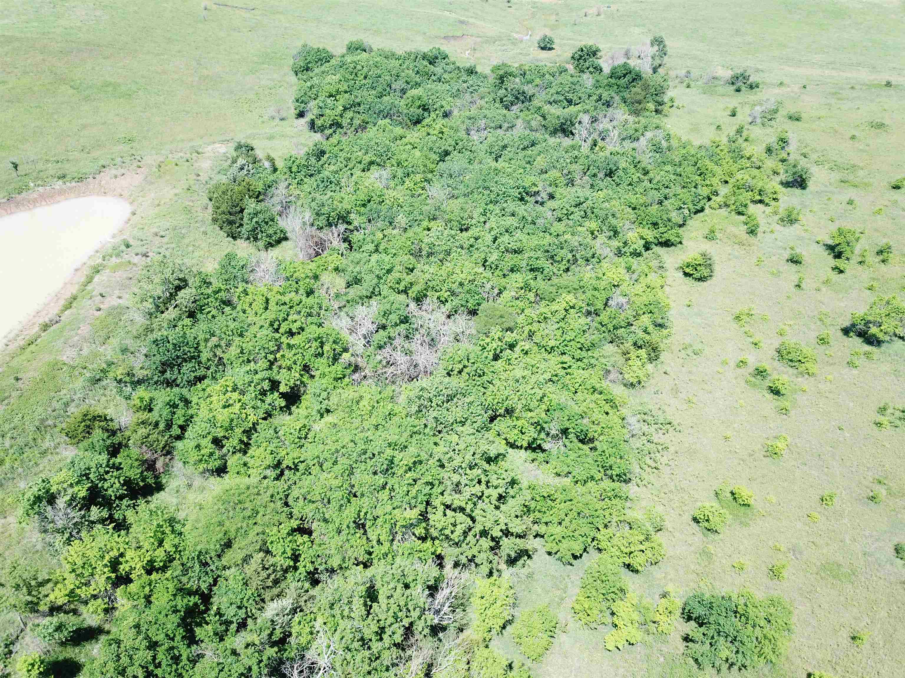 251 Z50 Road Property Photo 12