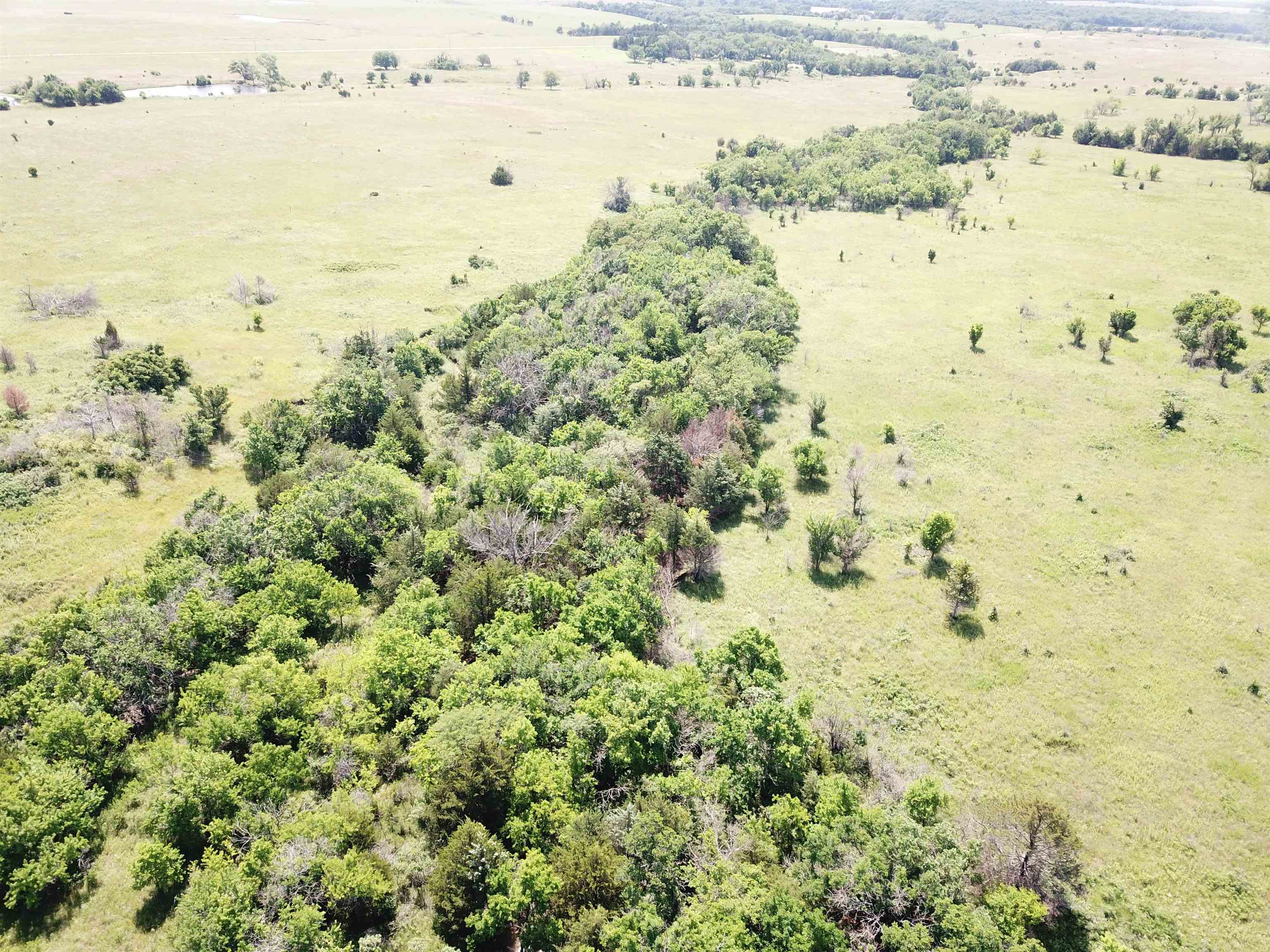 251 Z50 Road Property Photo 15