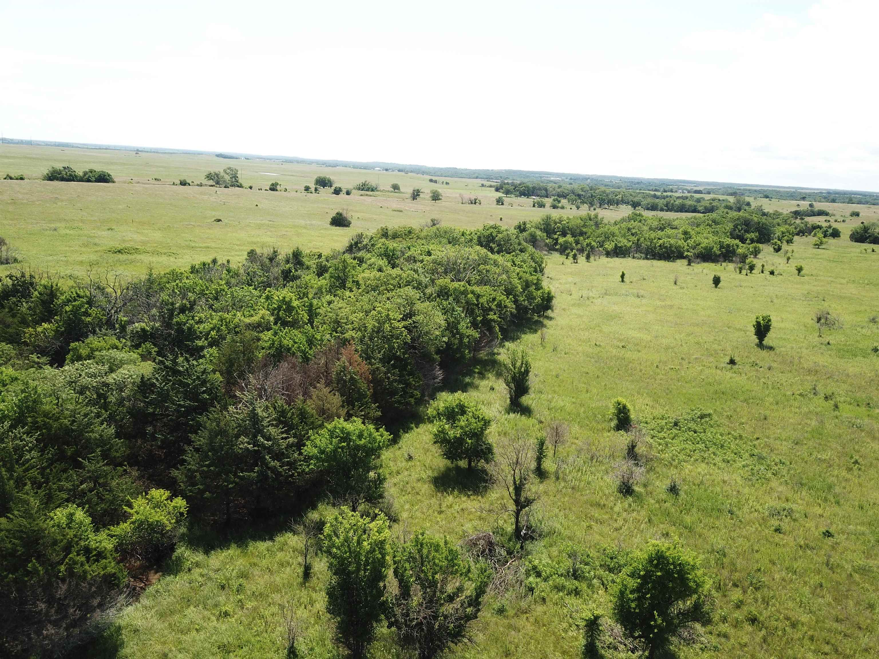 251 Z50 Road Property Photo 17