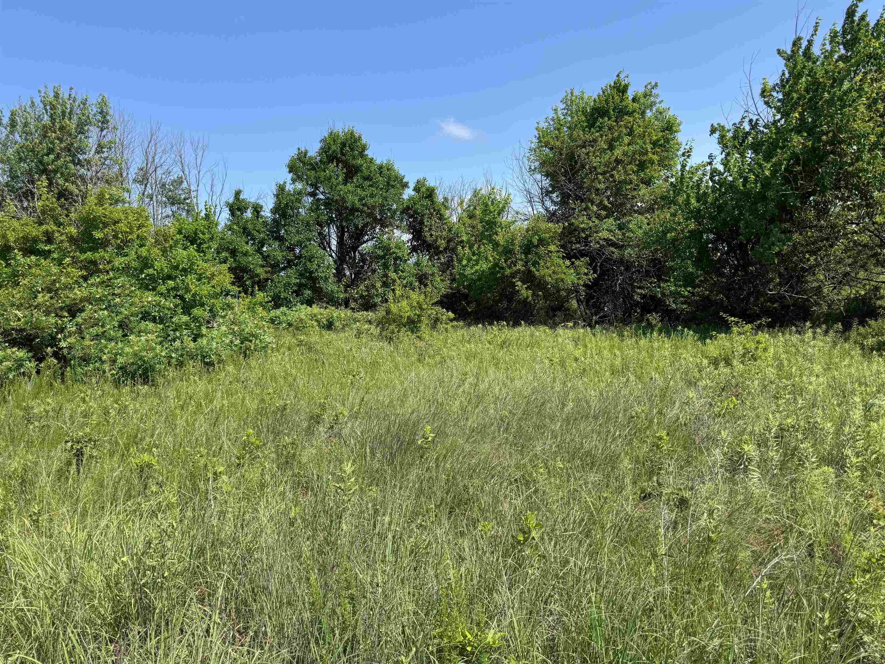 251 Z50 Road Property Photo 22