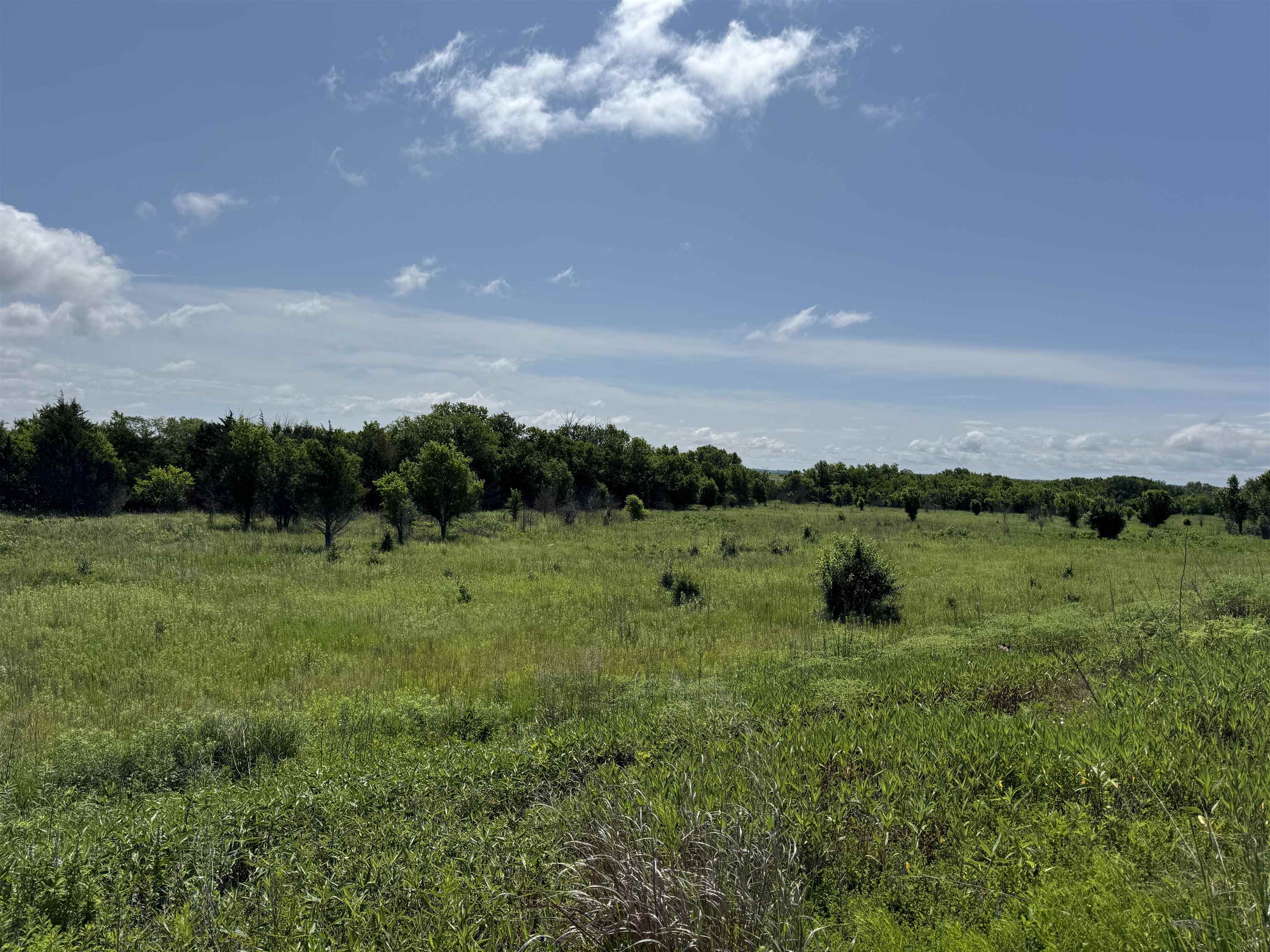 251 Z50 Road Property Photo 25