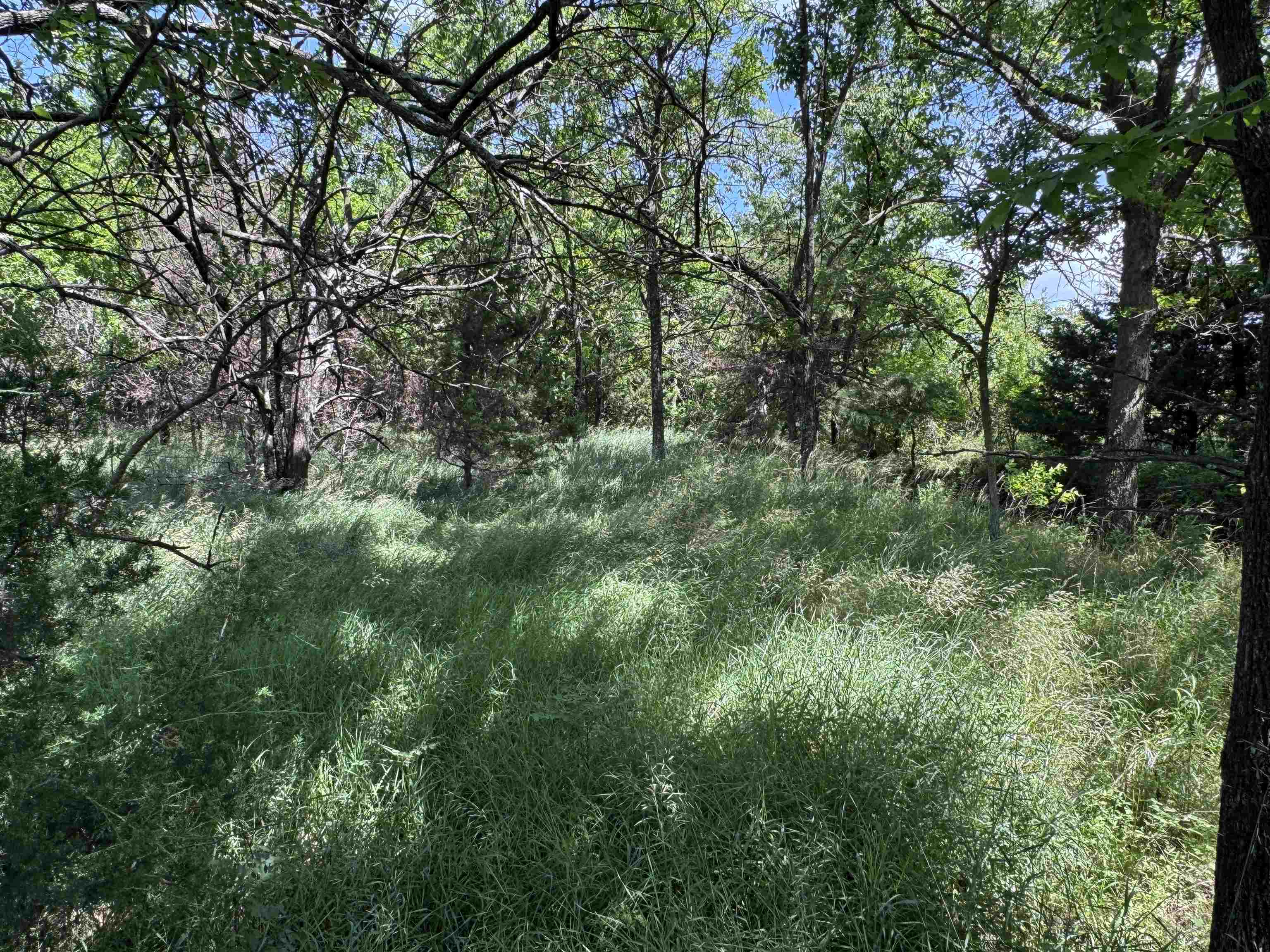 251 Z50 Road Property Photo 26