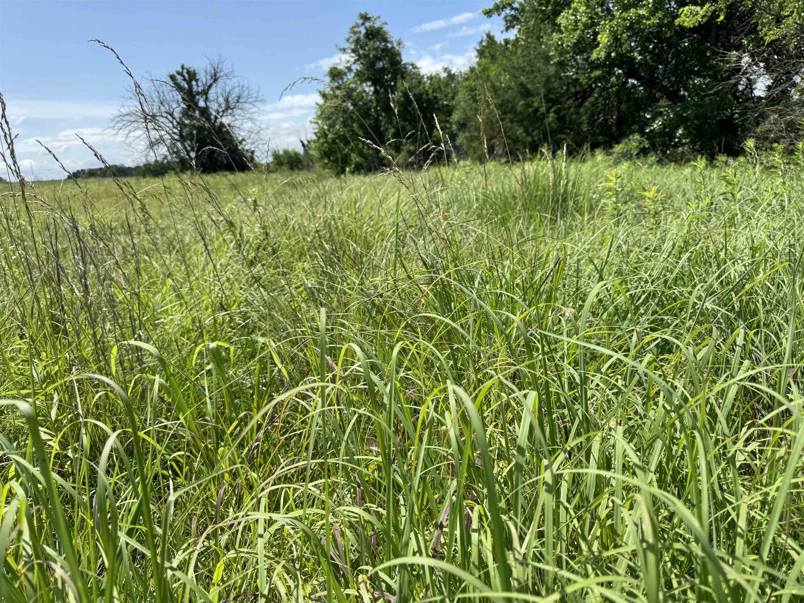 251 Z50 Road Property Photo 27
