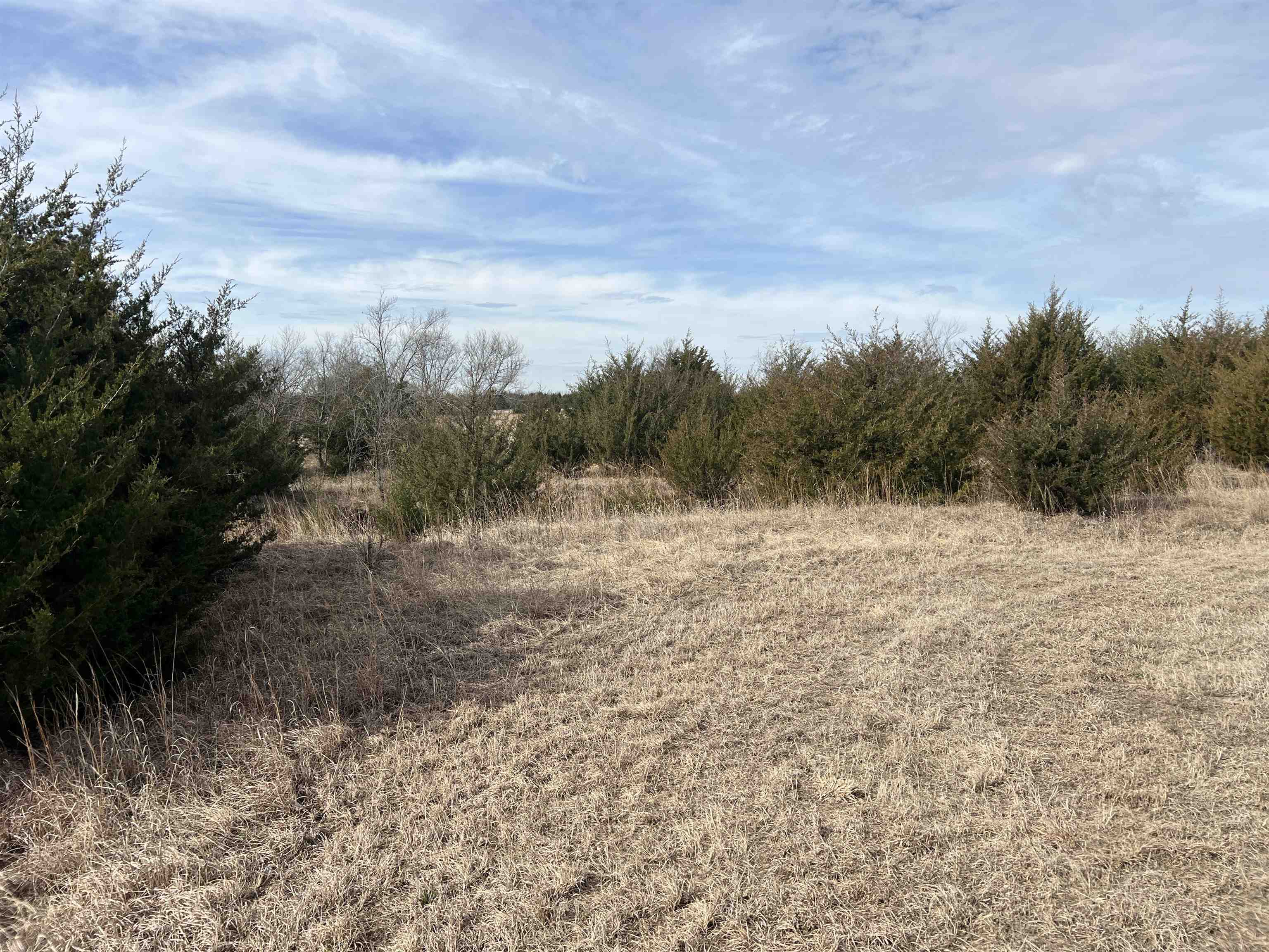 1782 Indianola Rd Property Photo 8