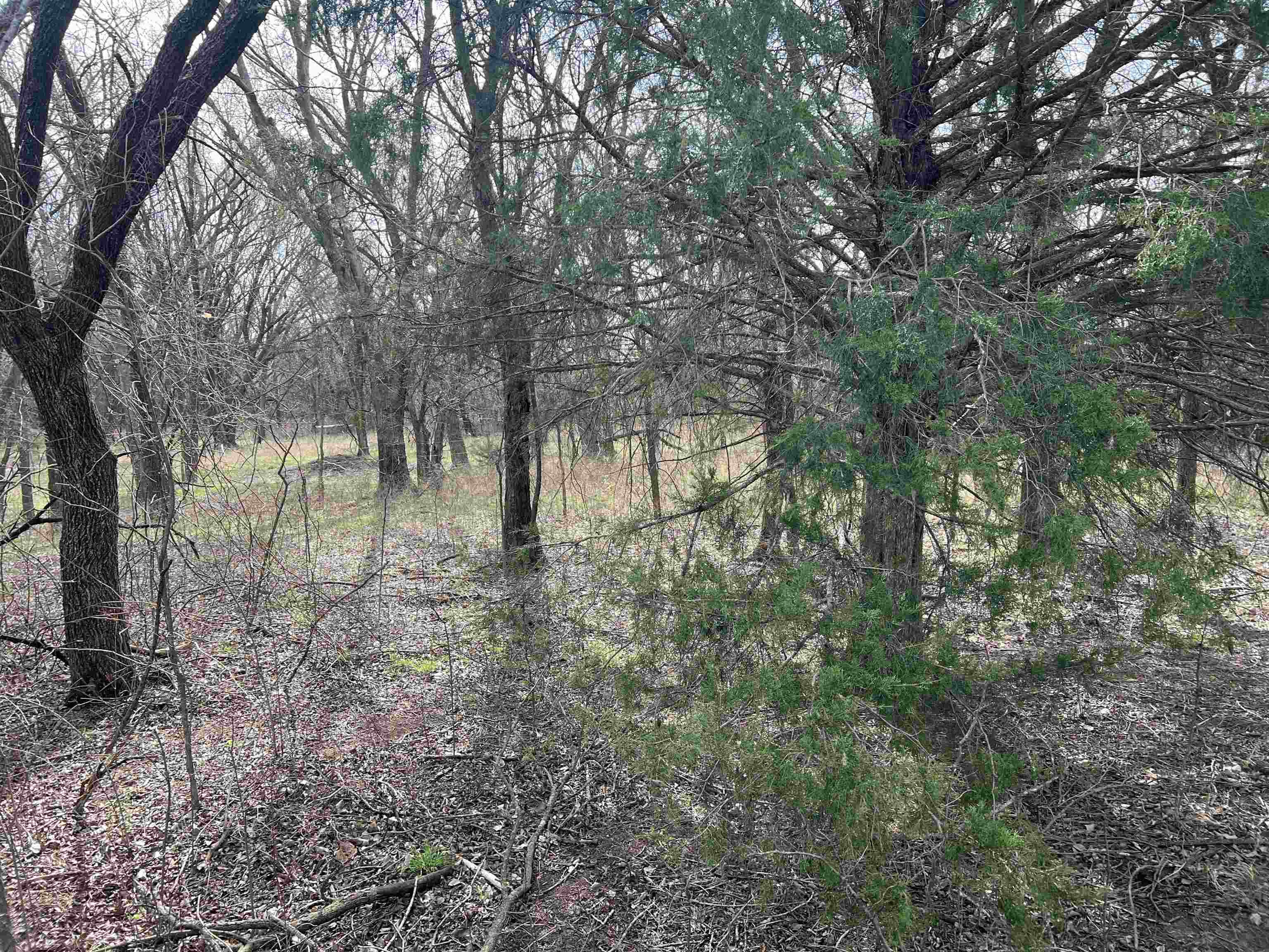 1782 Indianola Rd Property Photo 18