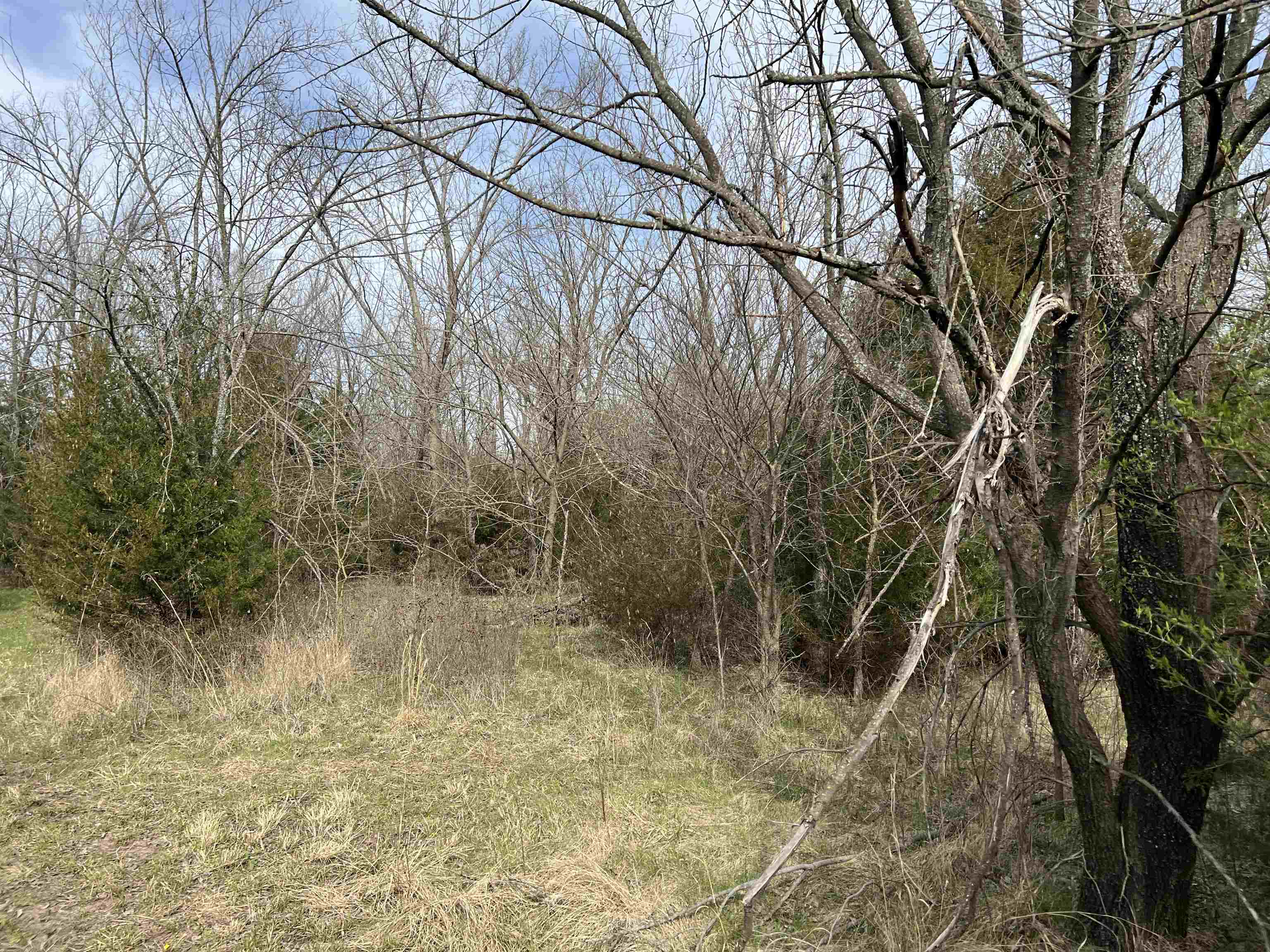 1782 Indianola Rd Property Photo 20