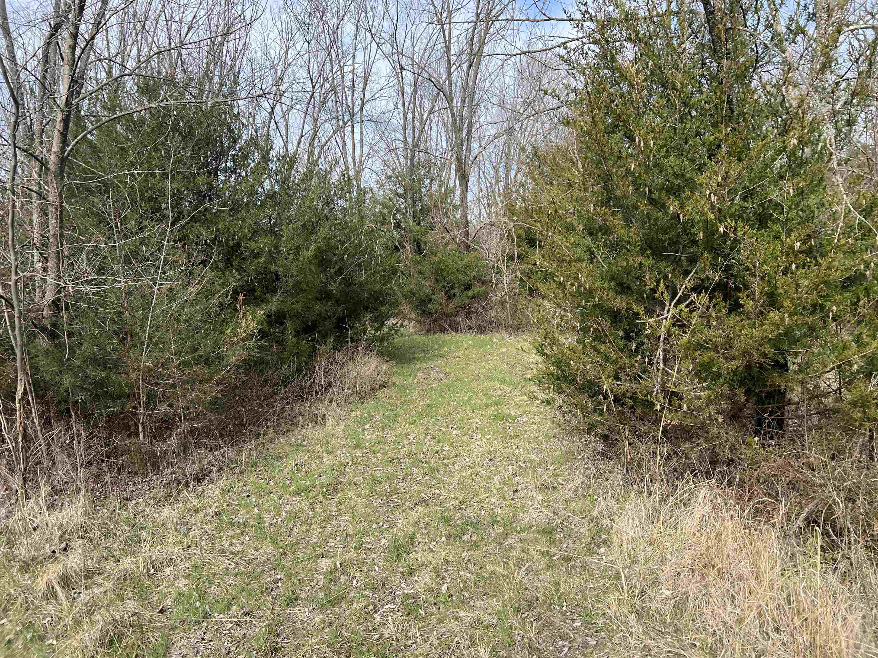 1782 Indianola Rd Property Photo 21
