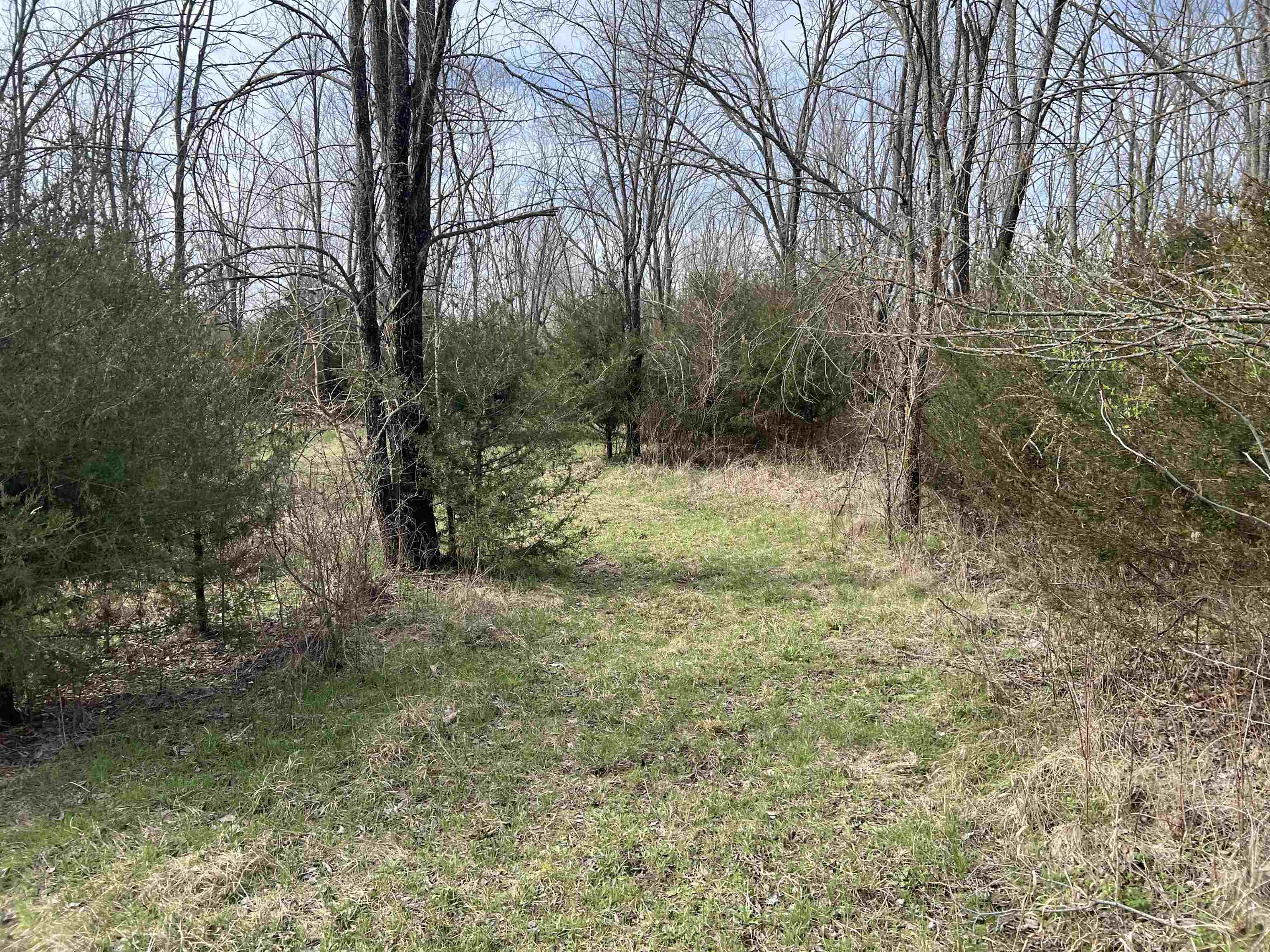 1782 Indianola Rd Property Photo 22