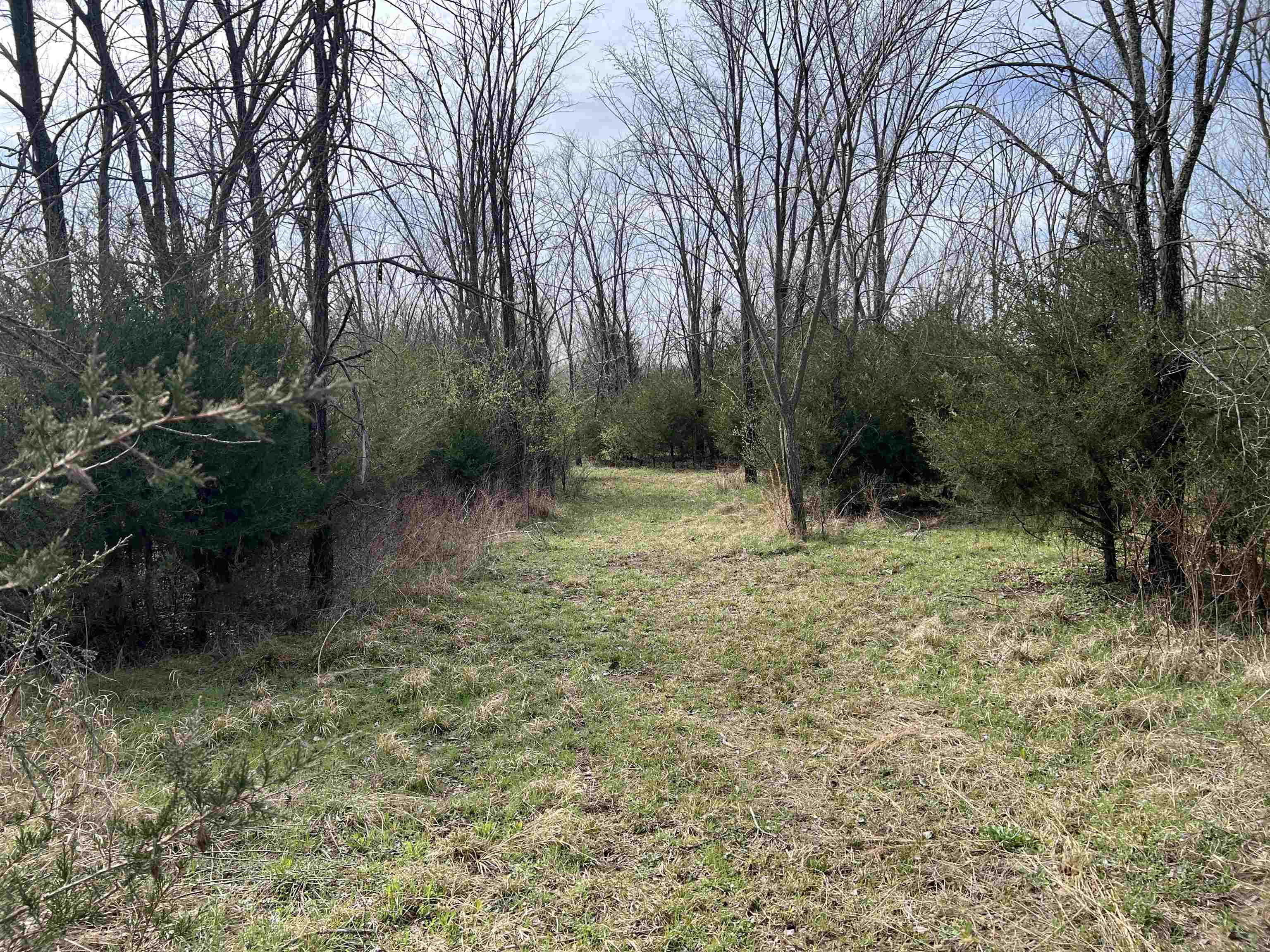 1782 Indianola Rd Property Photo 23