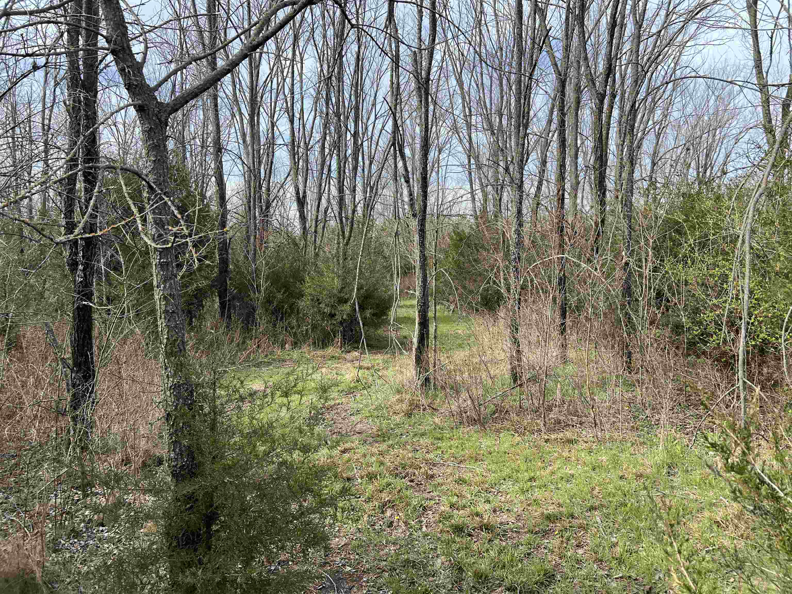 1782 Indianola Rd Property Photo 24