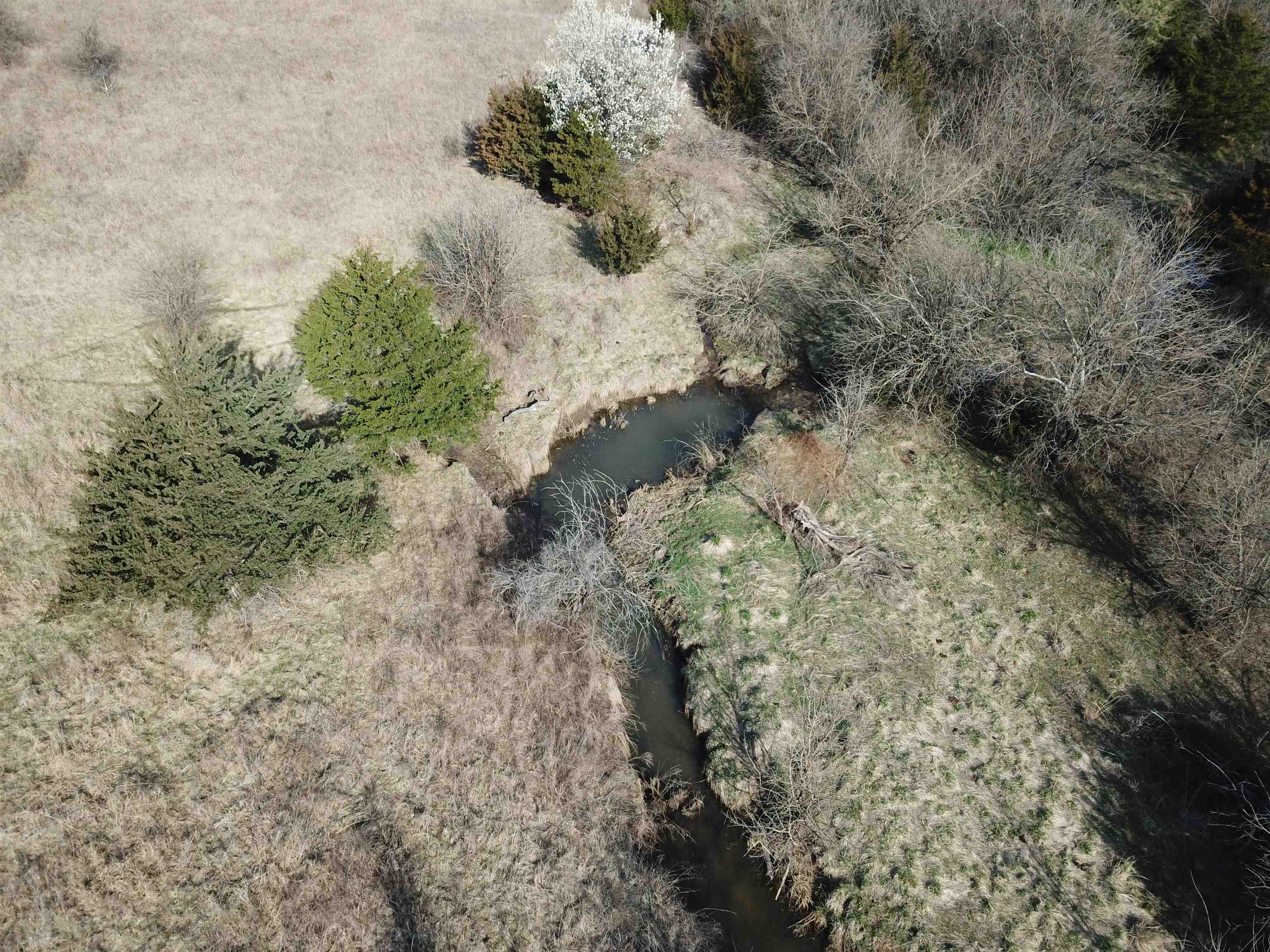 169 Z50 Rd Property Photo 14