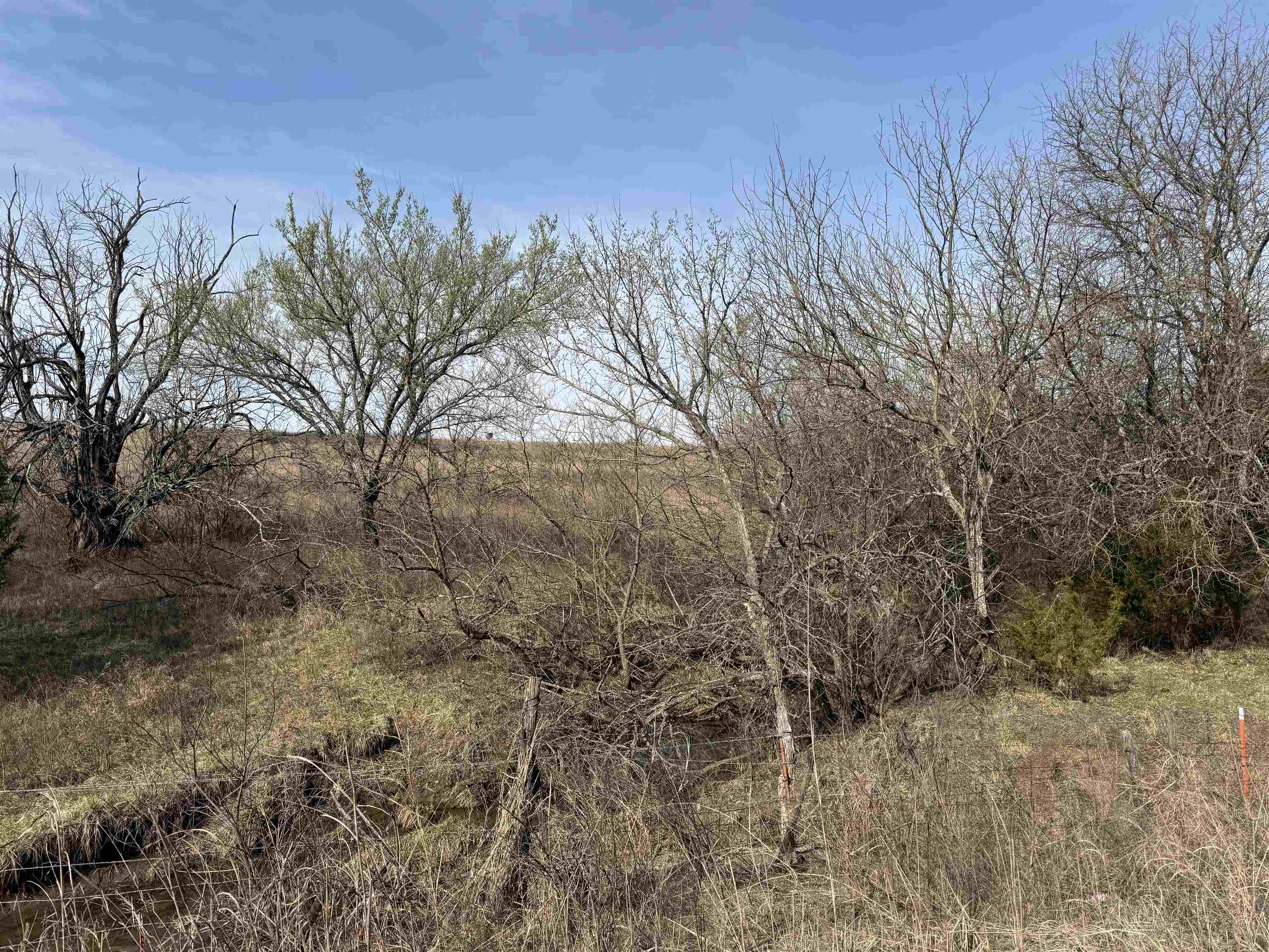169 Z50 Rd Property Photo 21