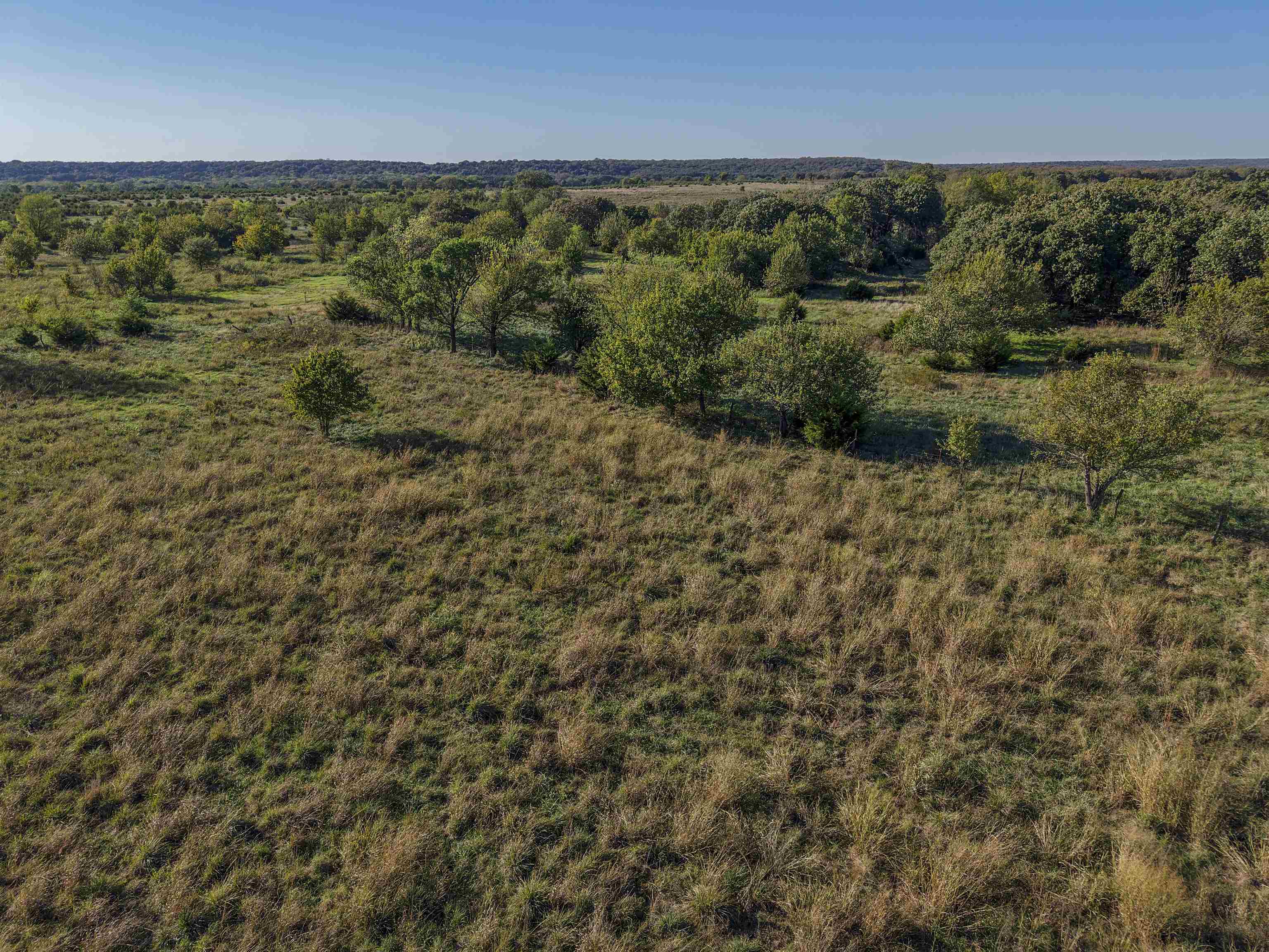 3086 Saddle Road Property Photo 9