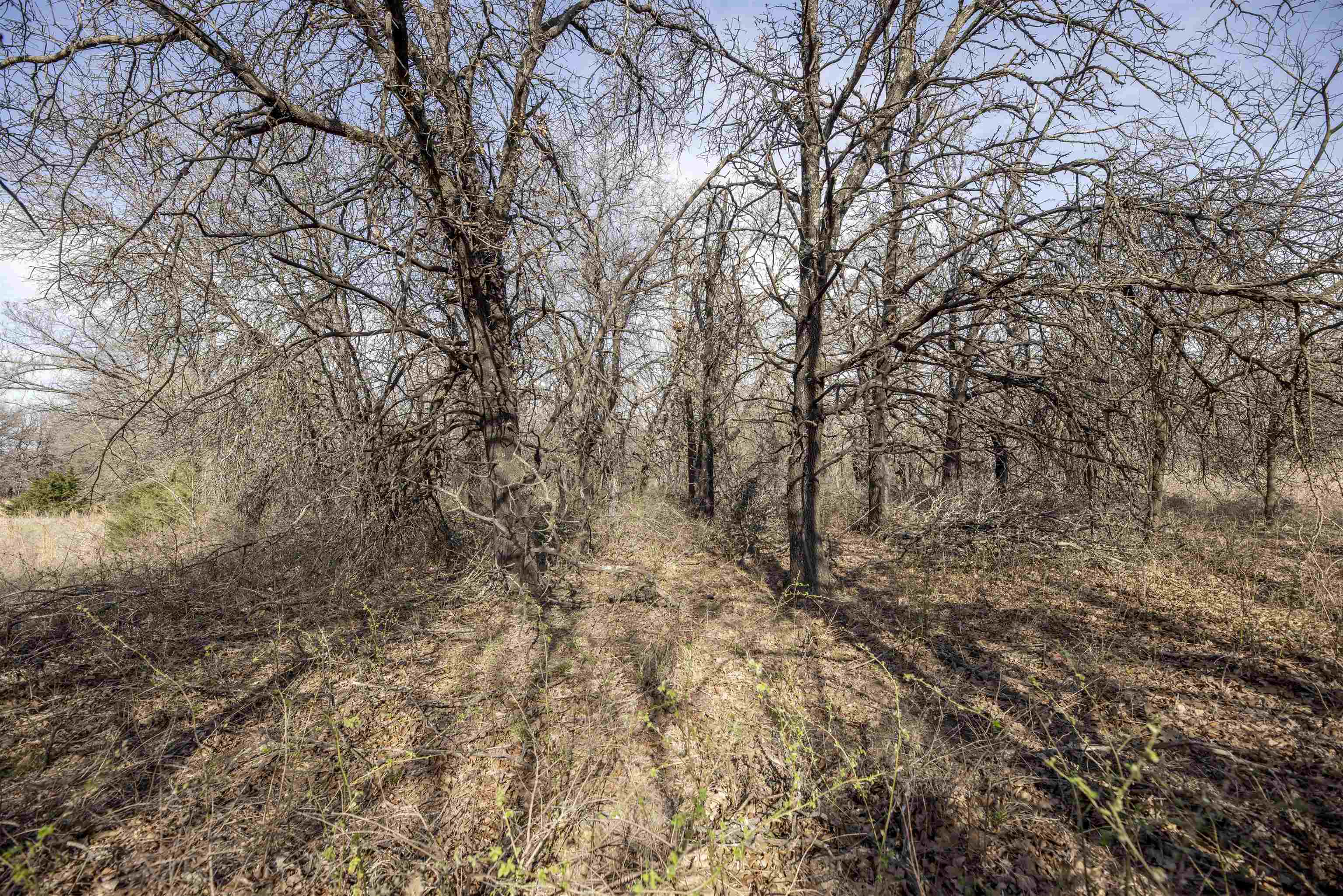 3086 Saddle Road Property Photo 25