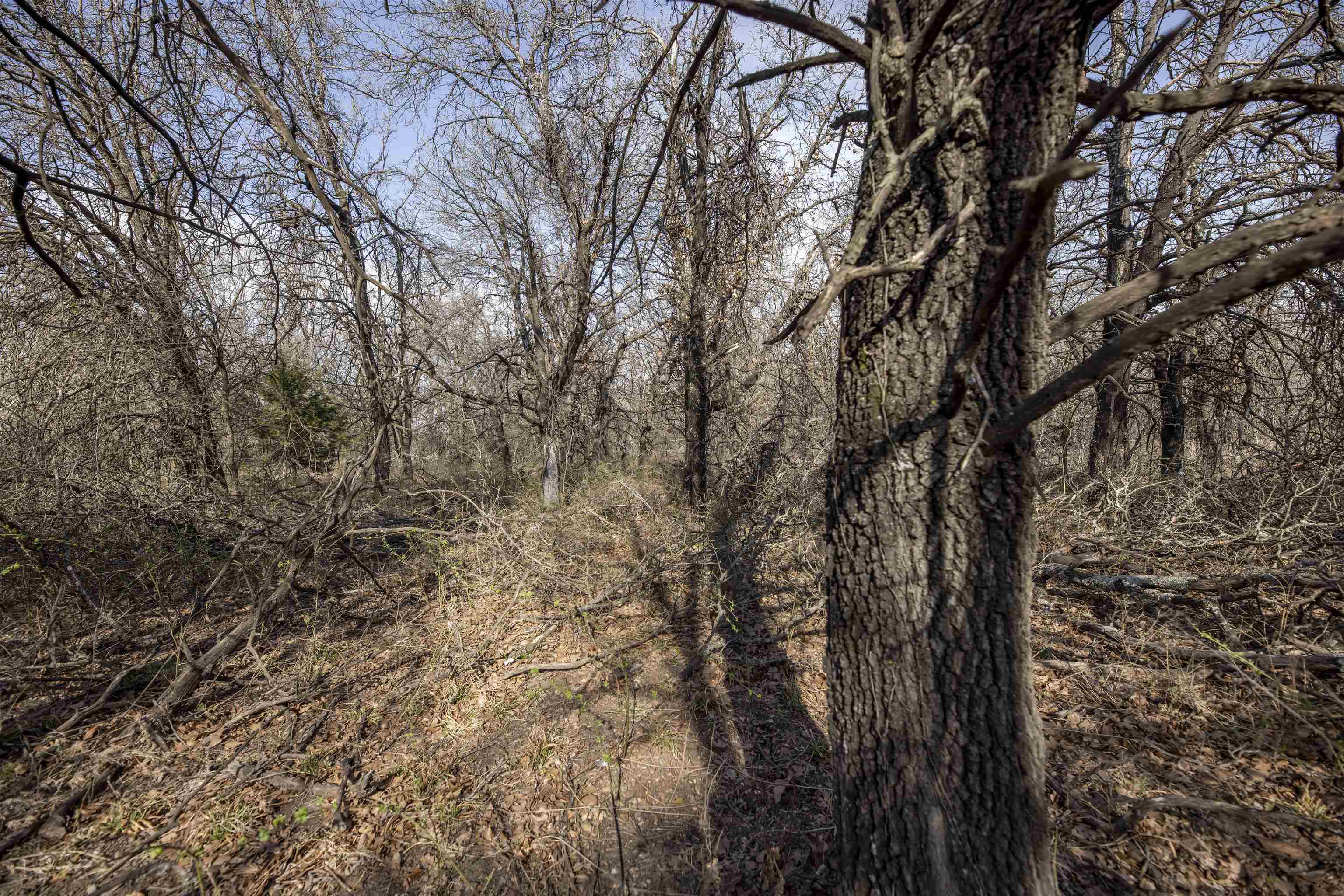 3086 Saddle Road Property Photo 26