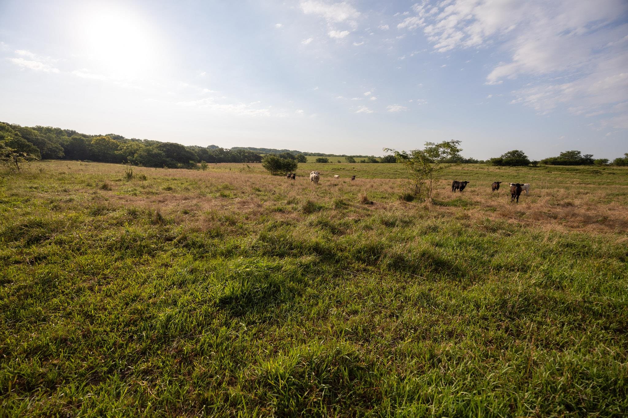 0000 Cr Property Photo 18