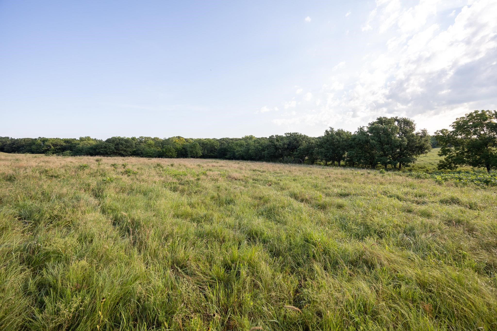 0000 Cr Property Photo 19