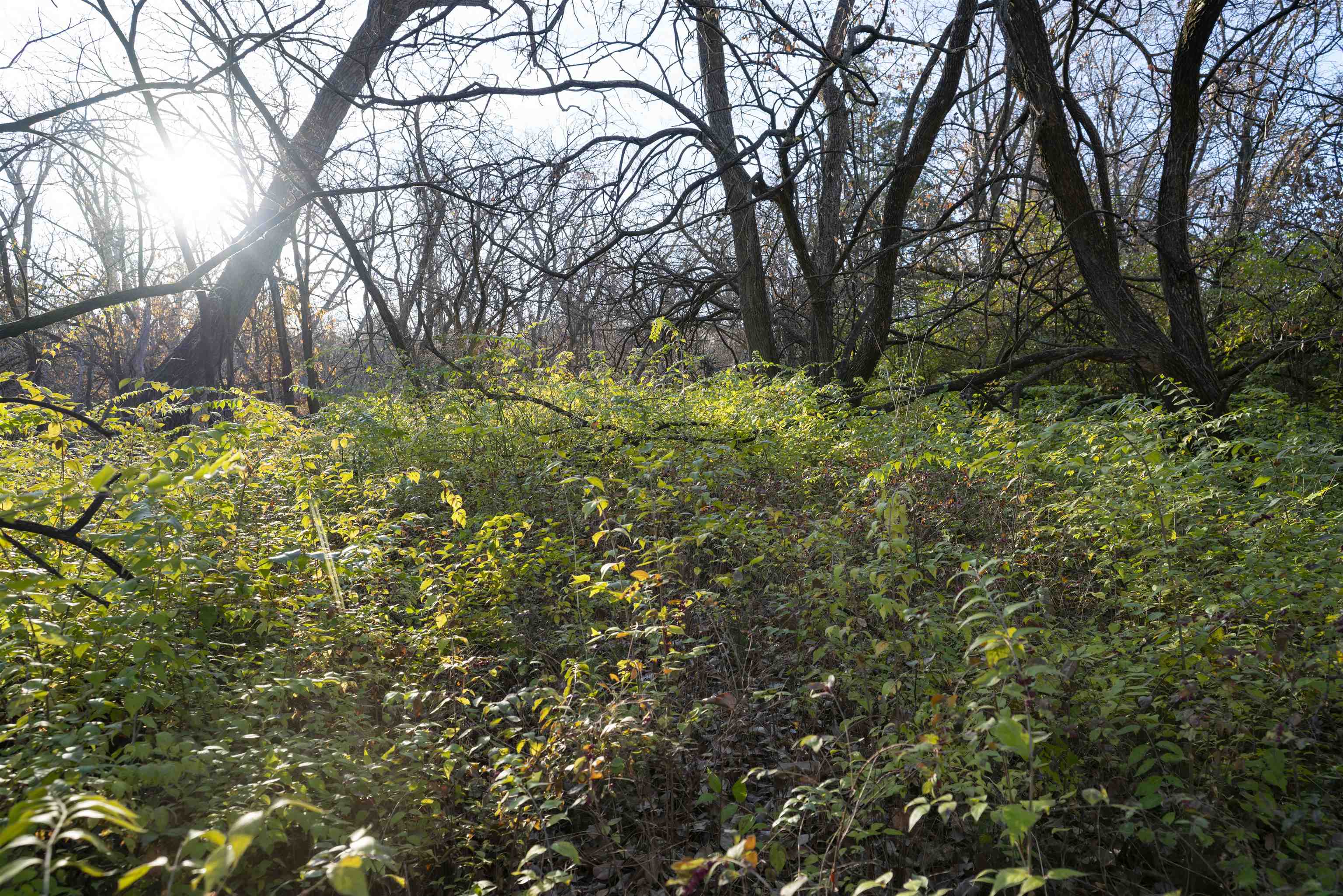 2400 N Pennington Rd Property Photo 11