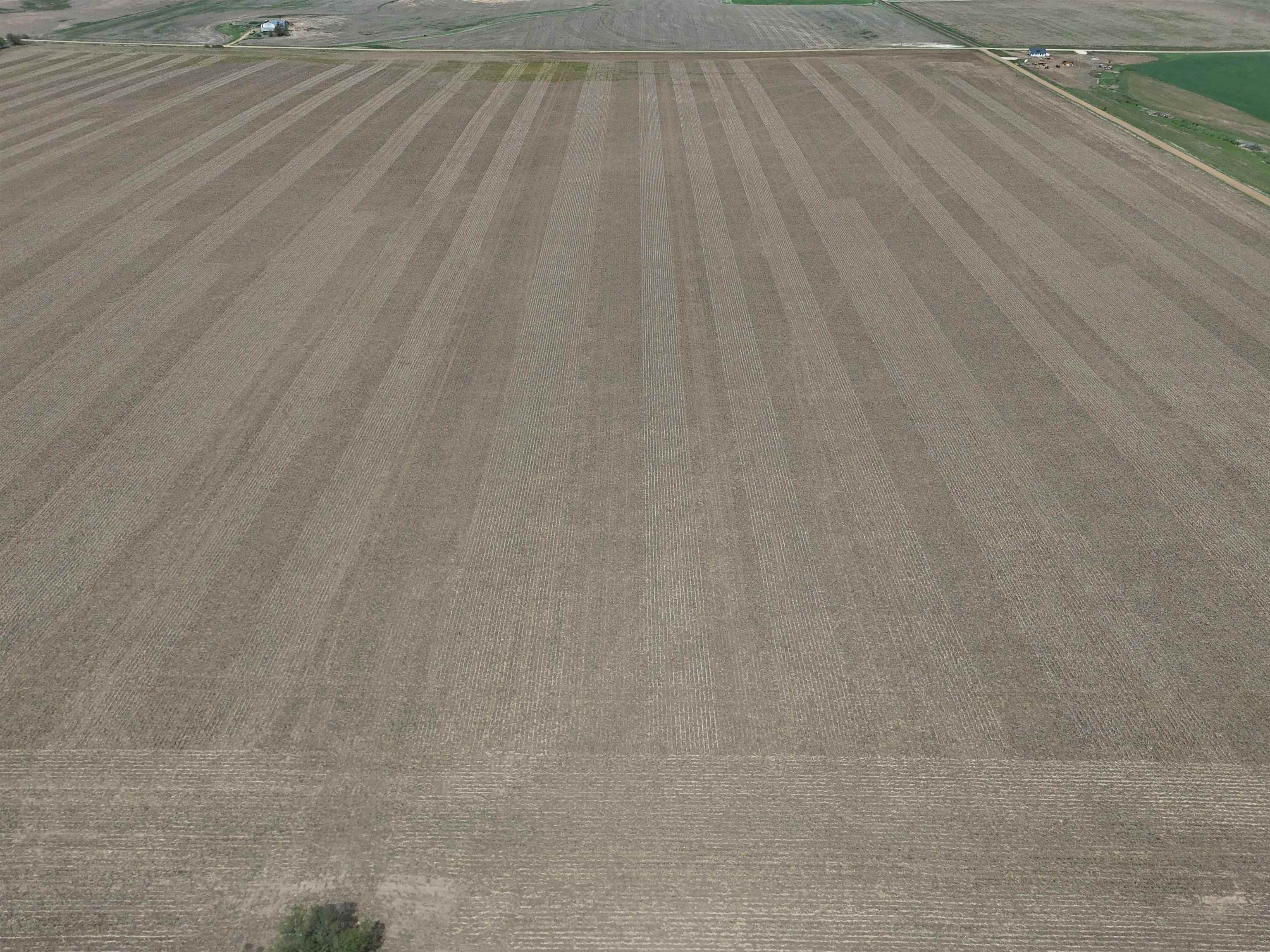 750 Camp Road Property Photo 8