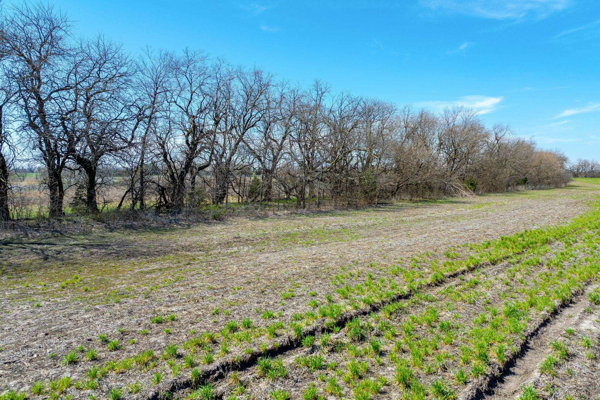 Lot 3 E Willow Oak Estates Property Photo 4