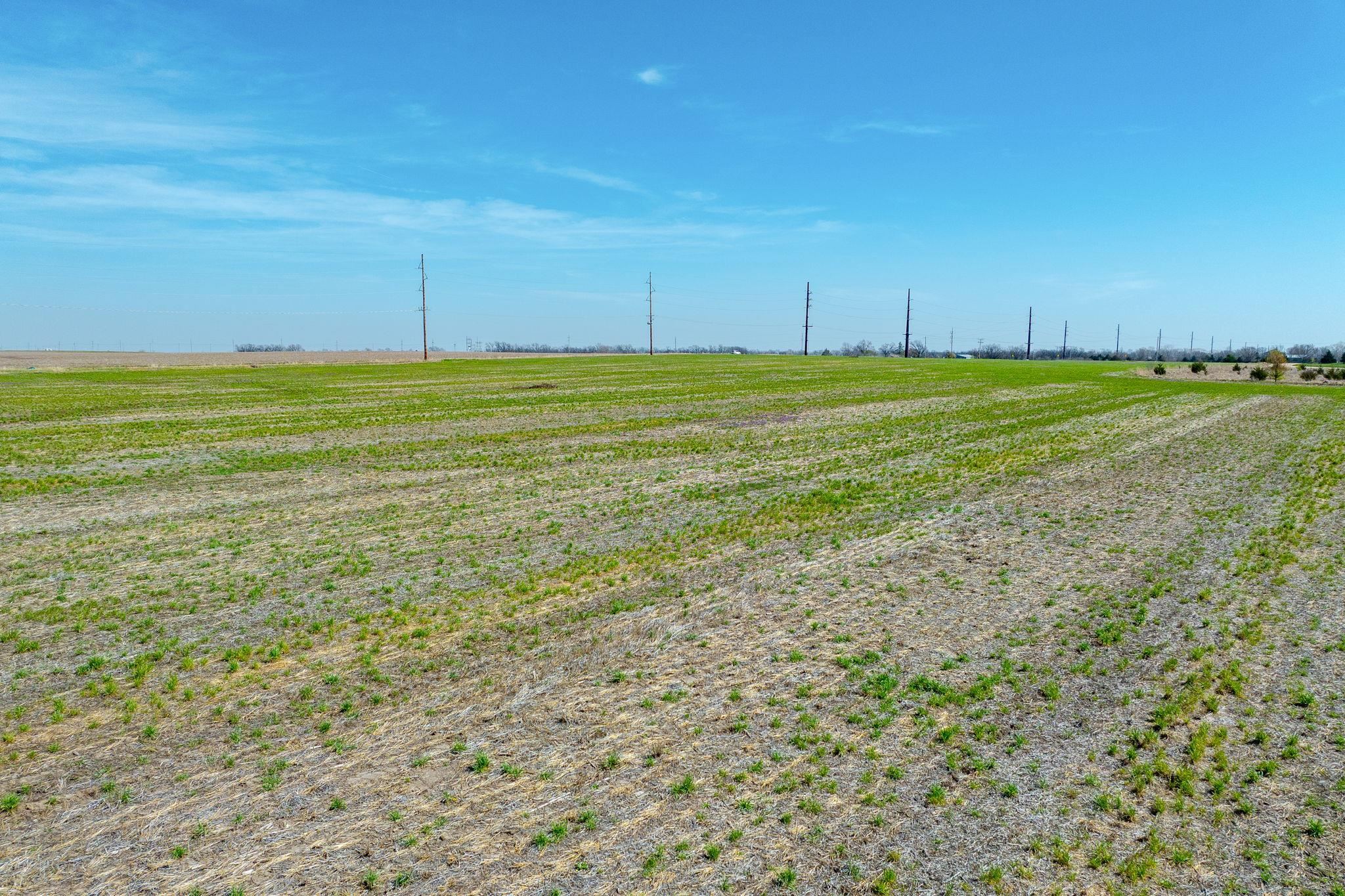 Lot 3 E Willow Oak Estates Property Photo 5