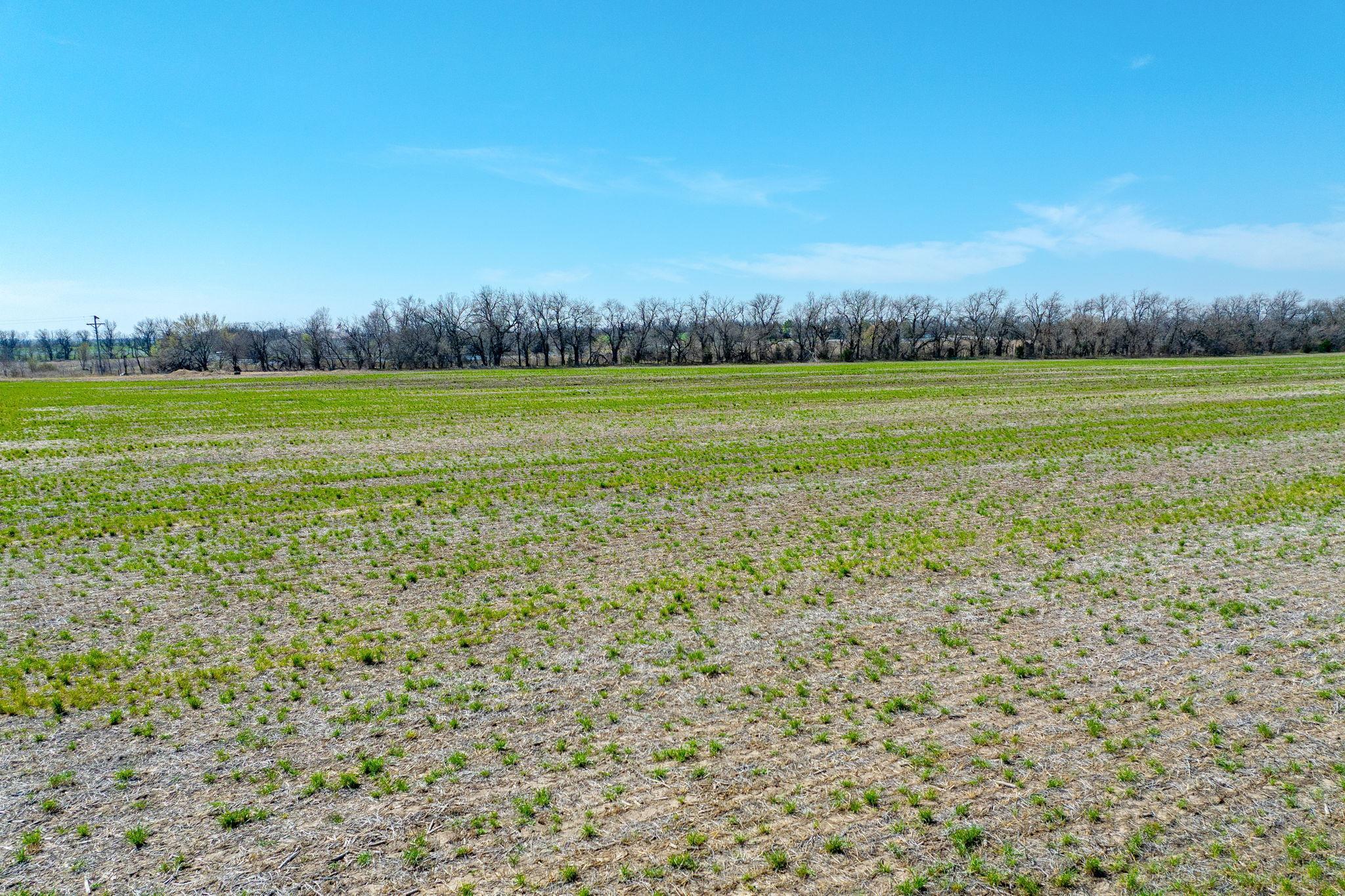 Lot 3 E Willow Oak Estates Property Photo 6