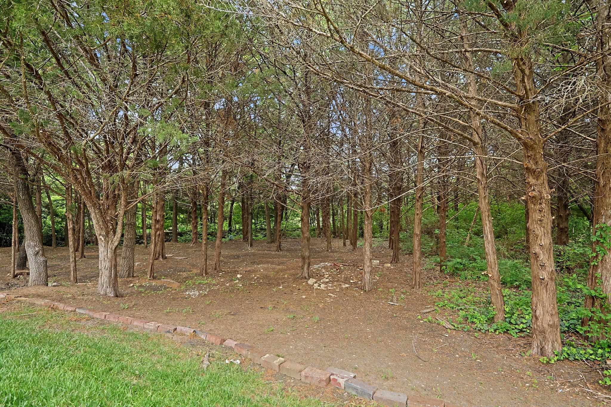 12630 E Zimmerly Ct Property Photo 28