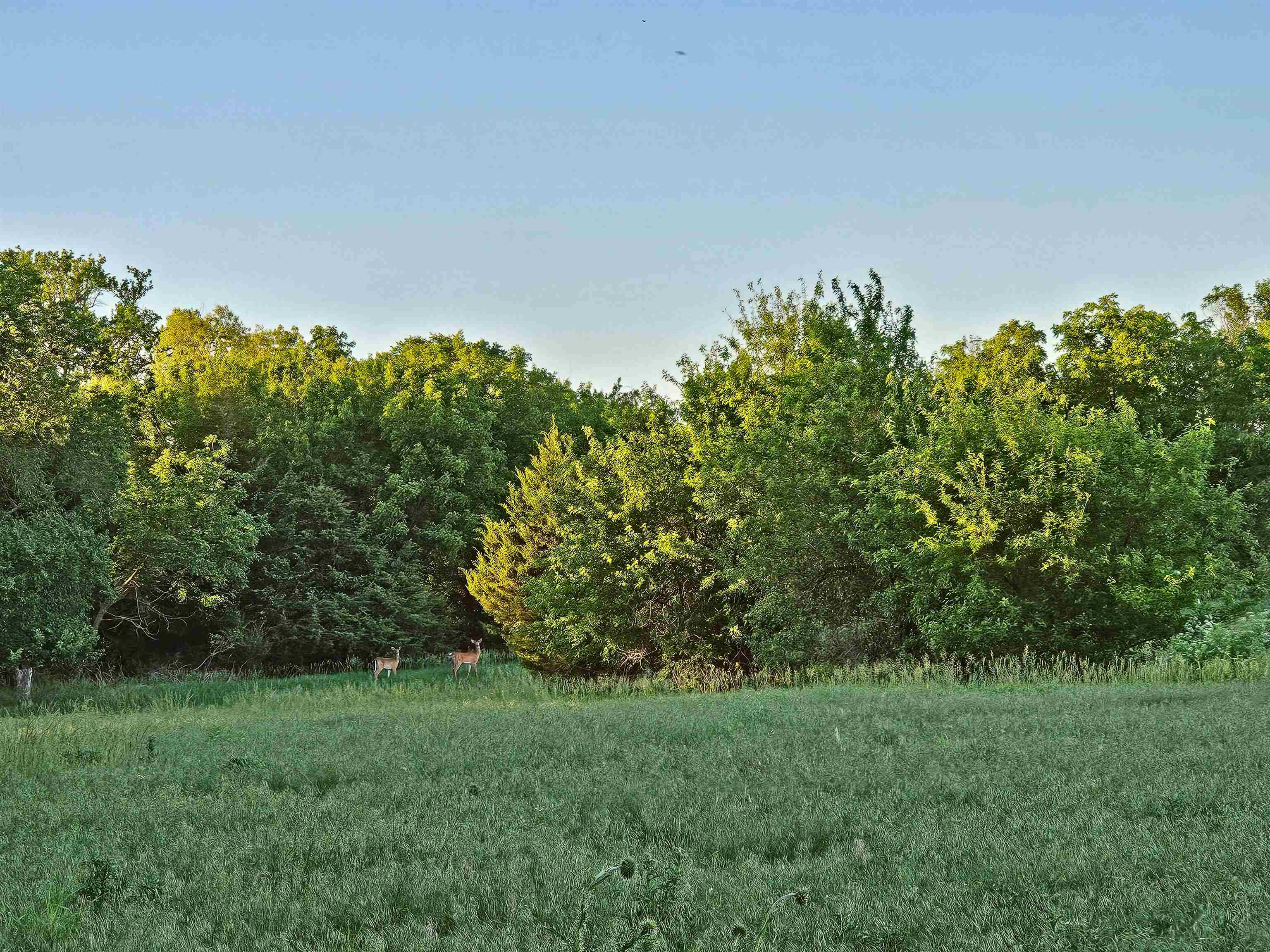 2486 180th Property Photo 33