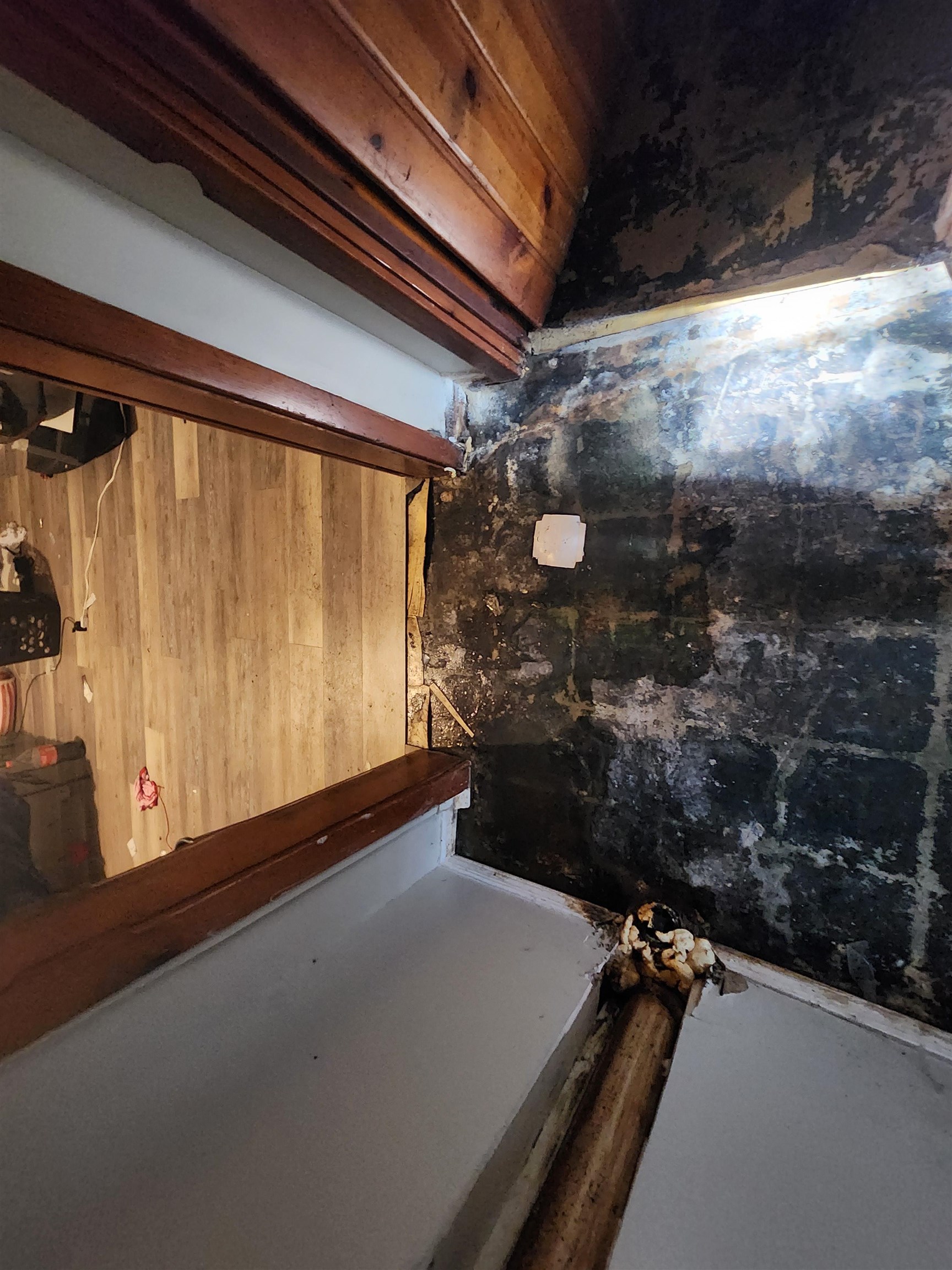 3638 Oneida Property Photo 8