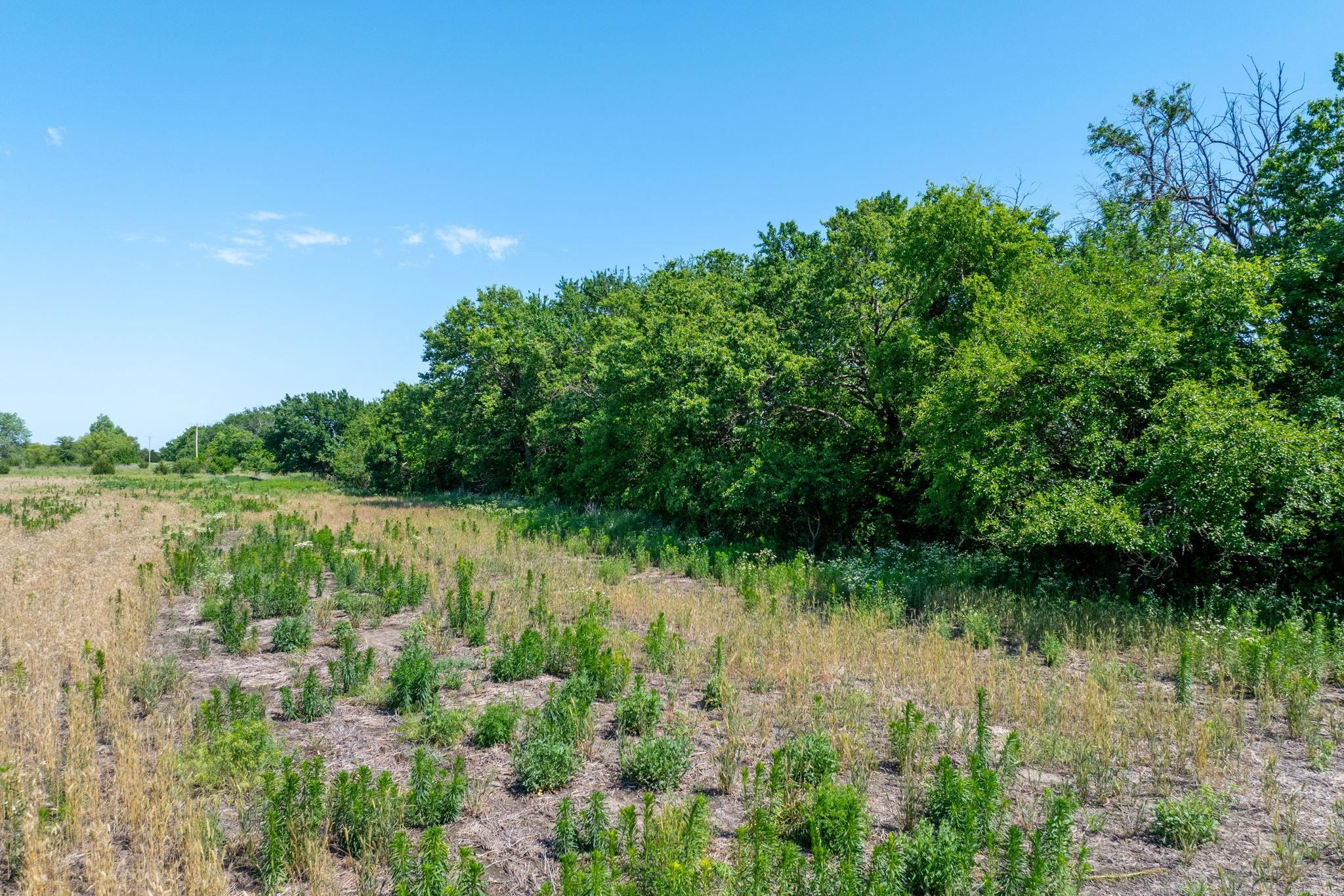 Lot 5 E Willow Oak Estates Property Photo 6