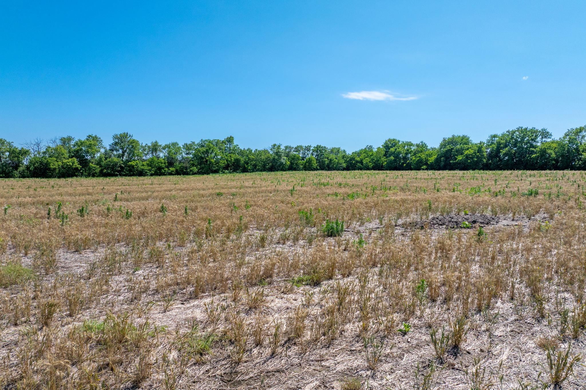 Lot 5 E Willow Oak Estates Property Photo 7