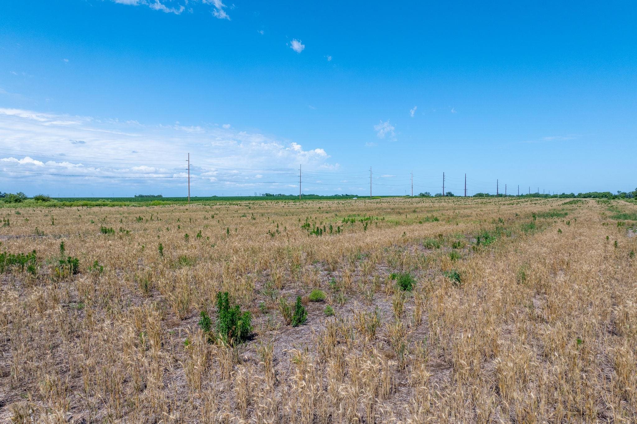 Lot 5 E Willow Oak Estates Property Photo 8