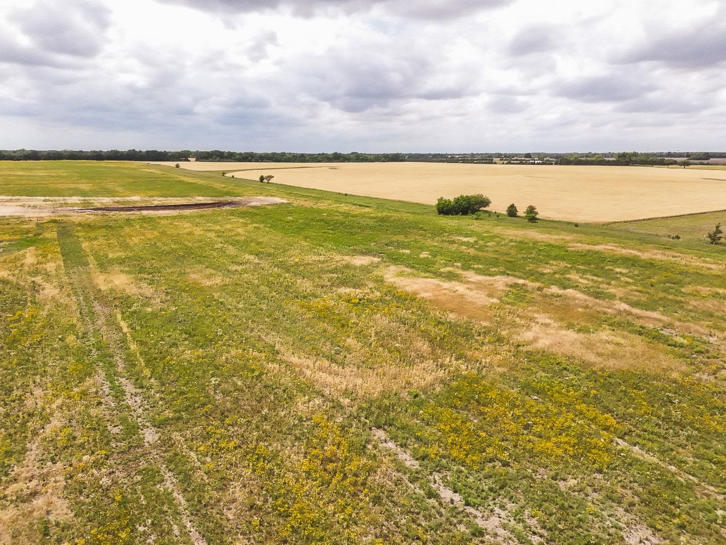 2.5 Acres On 183rd Property Photo 5