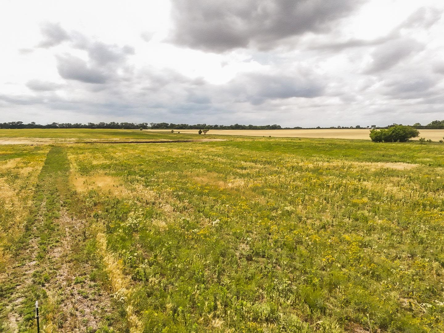 2.5 Acres On 183rd Property Photo 8