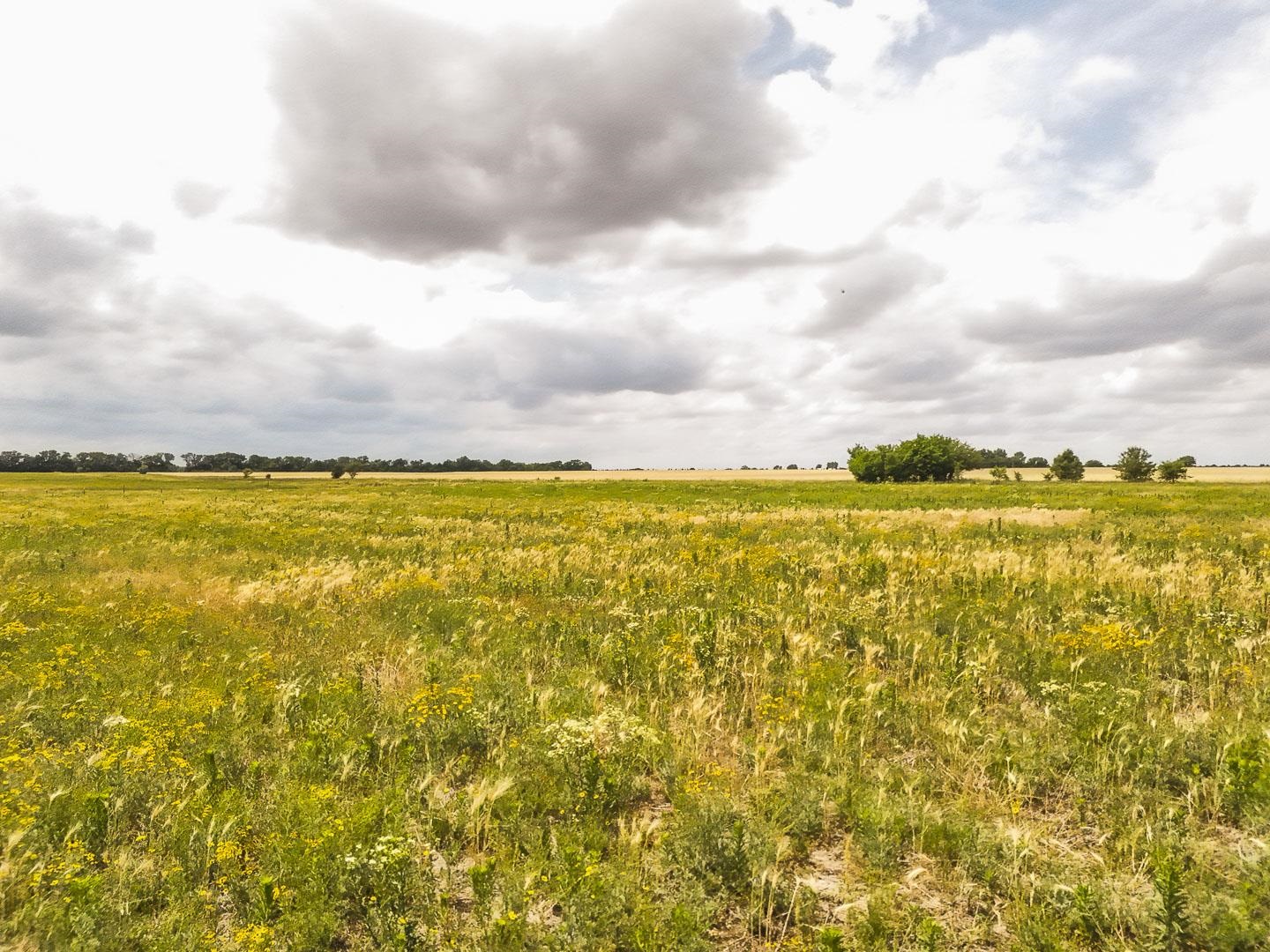2.5 Acres On 183rd Property Photo 9