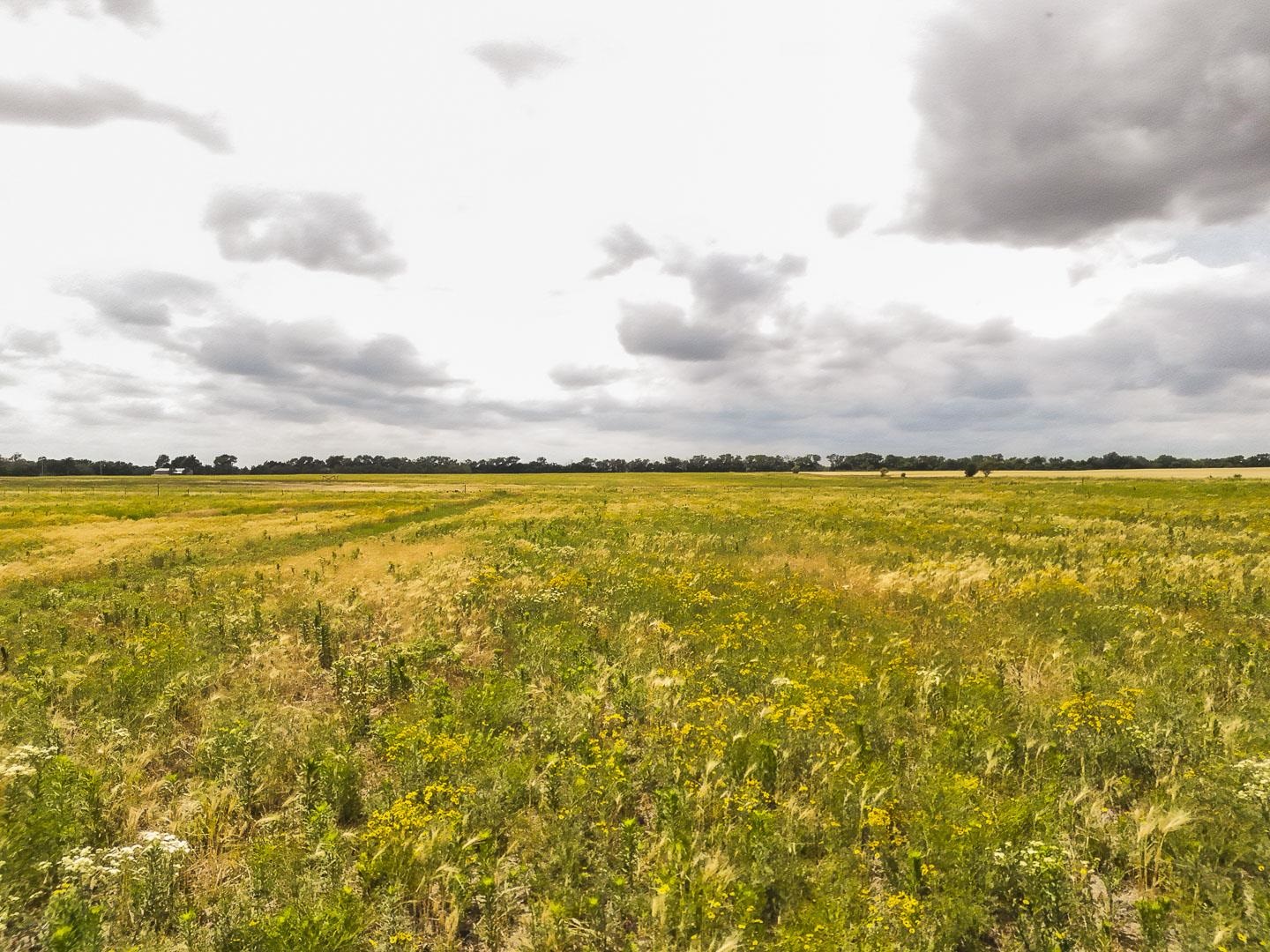 2.5 Acres On 183rd Property Photo 10