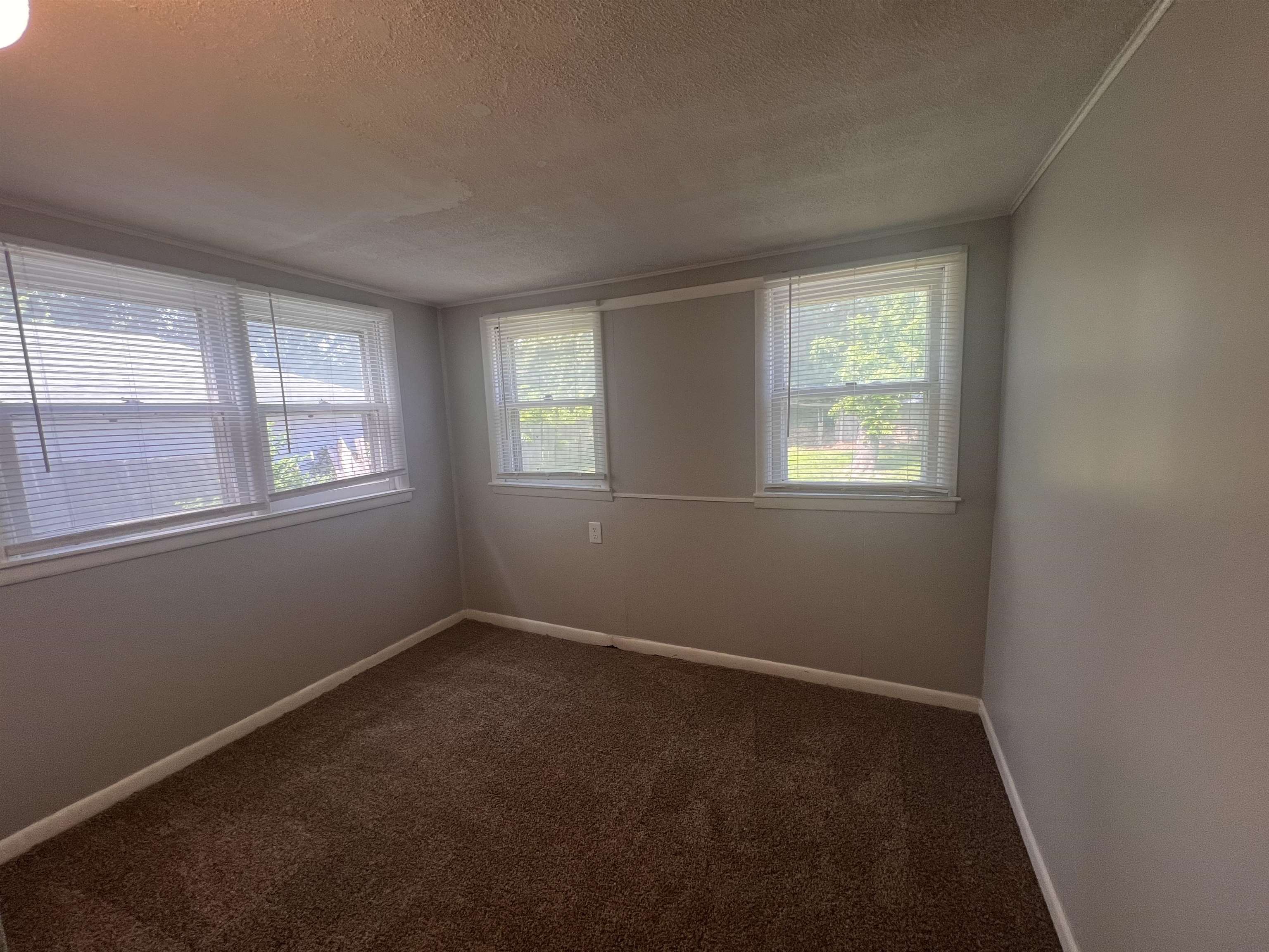 615 N Custer Property Photo 14