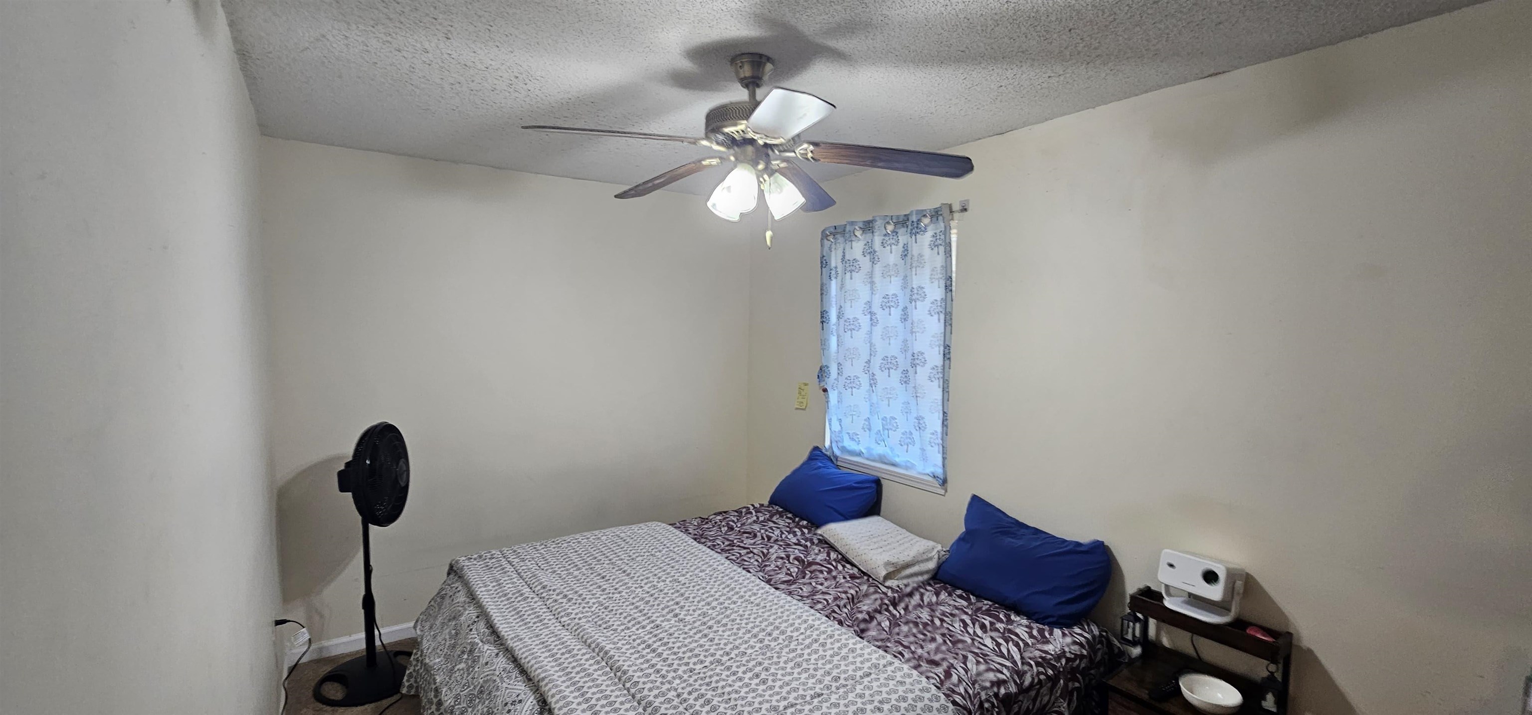 1627-1629 N Fairmount Ave. Property Photo 17