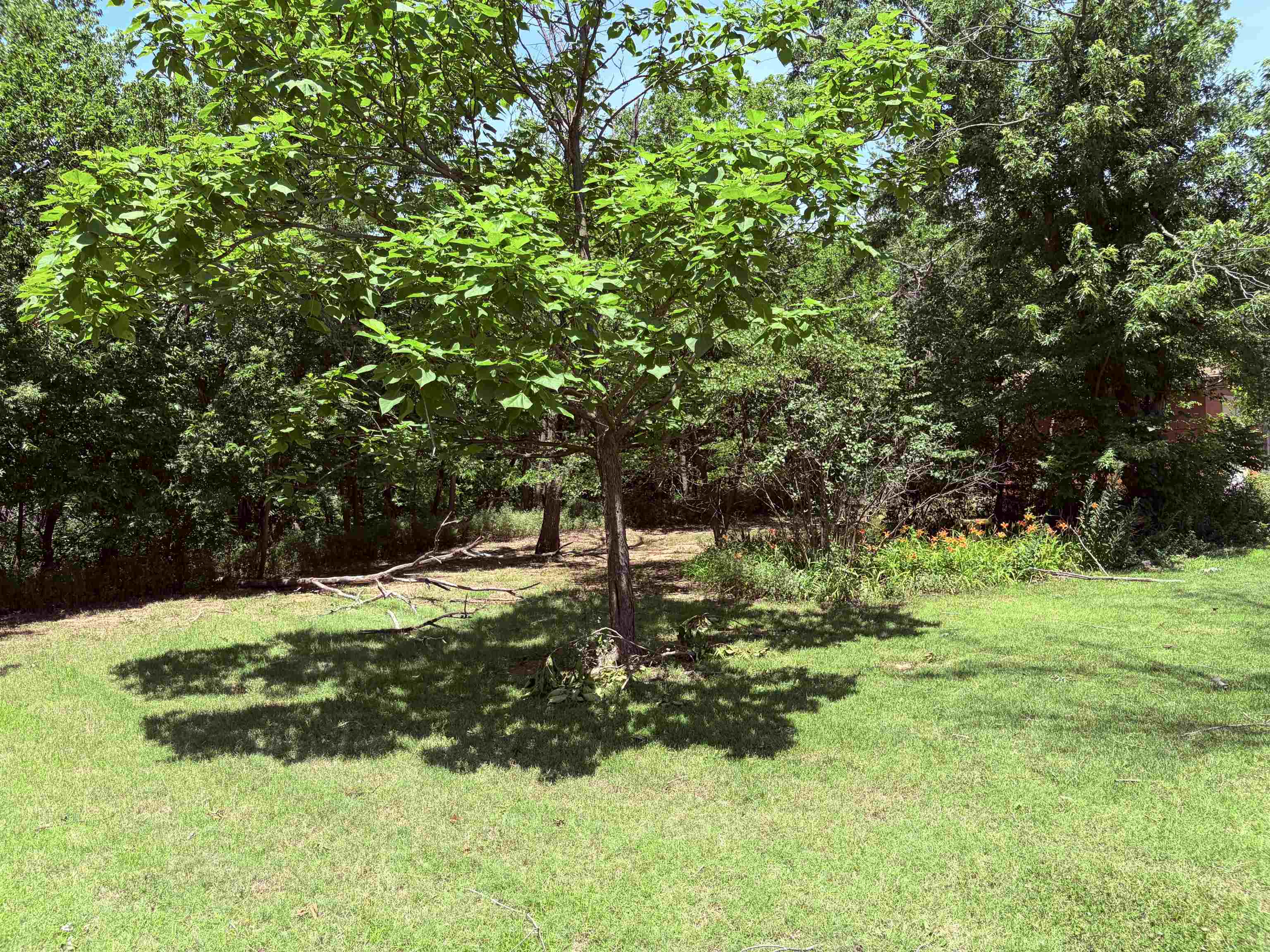 1022 S Cherry St. Property Photo 26