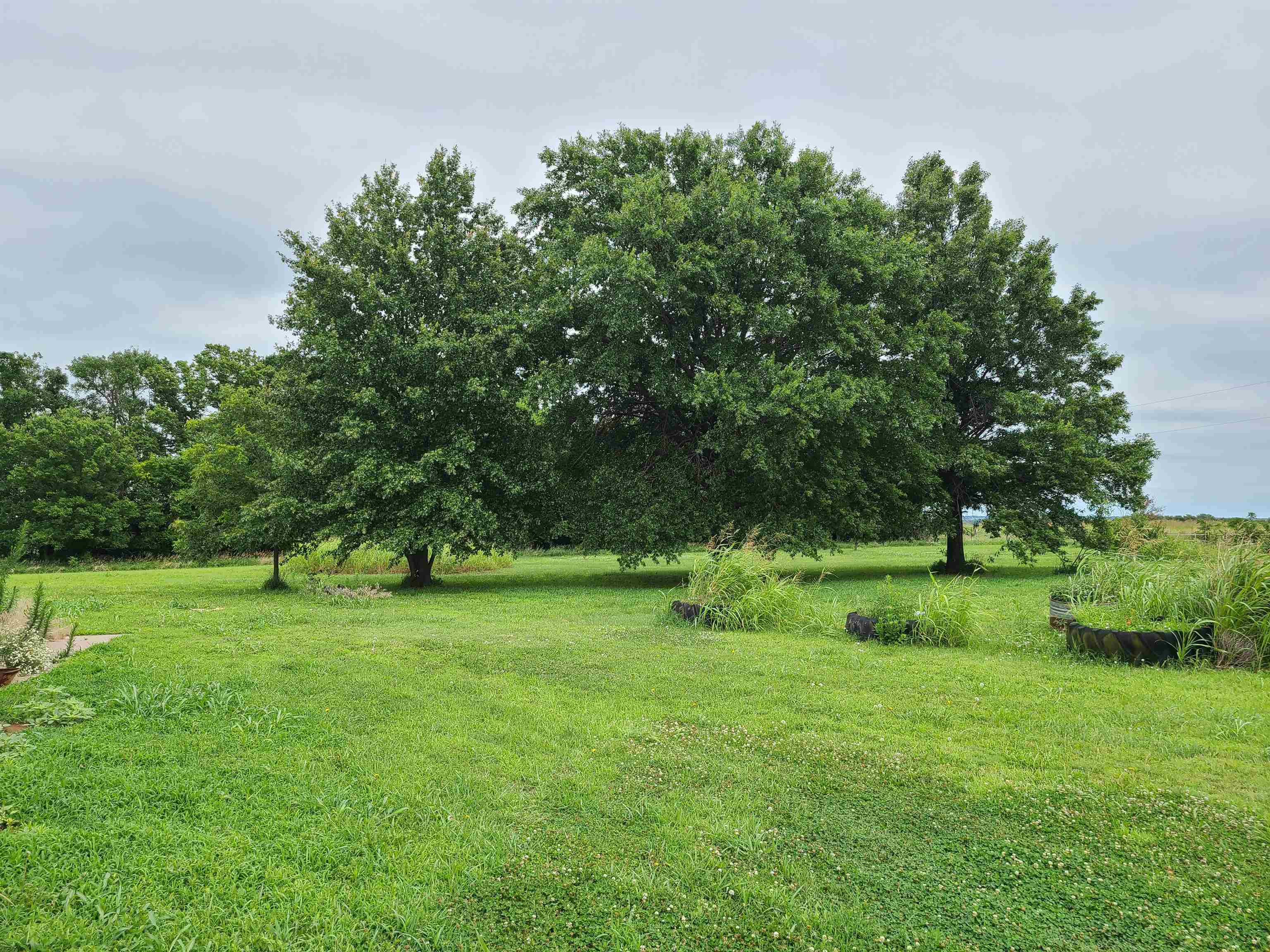 10716 212th Property Photo 13