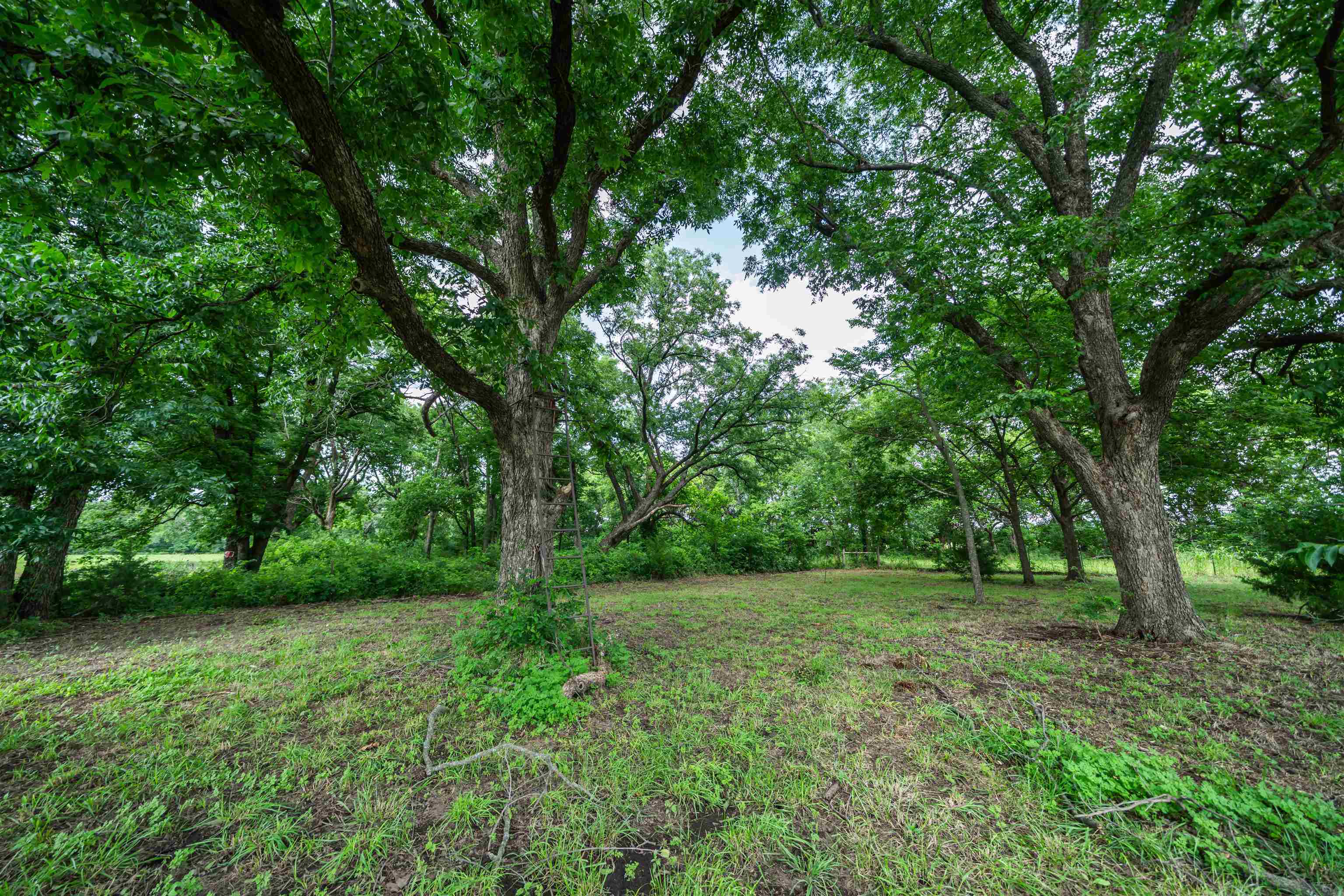 9099 268th Dr Property Photo 32