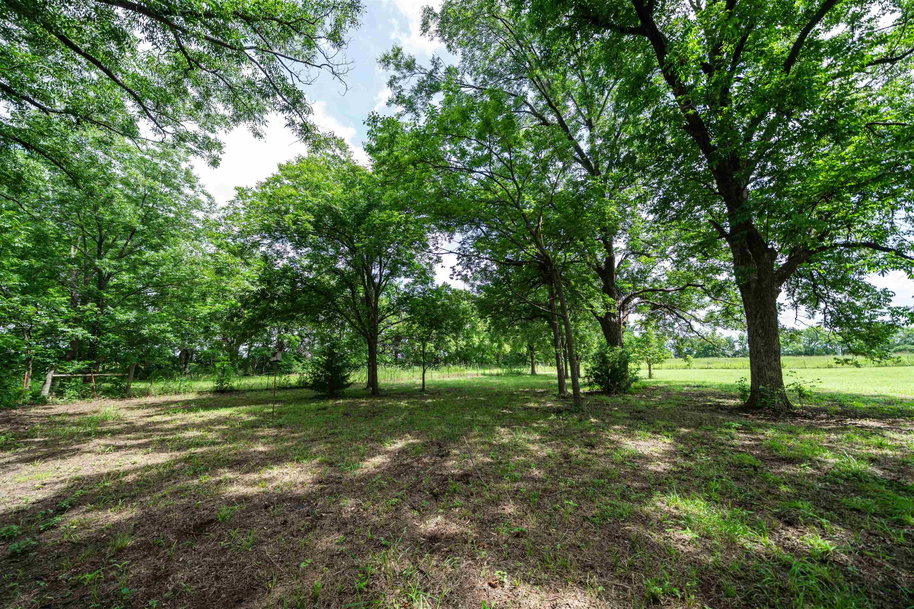 9099 268th Dr Property Photo 33