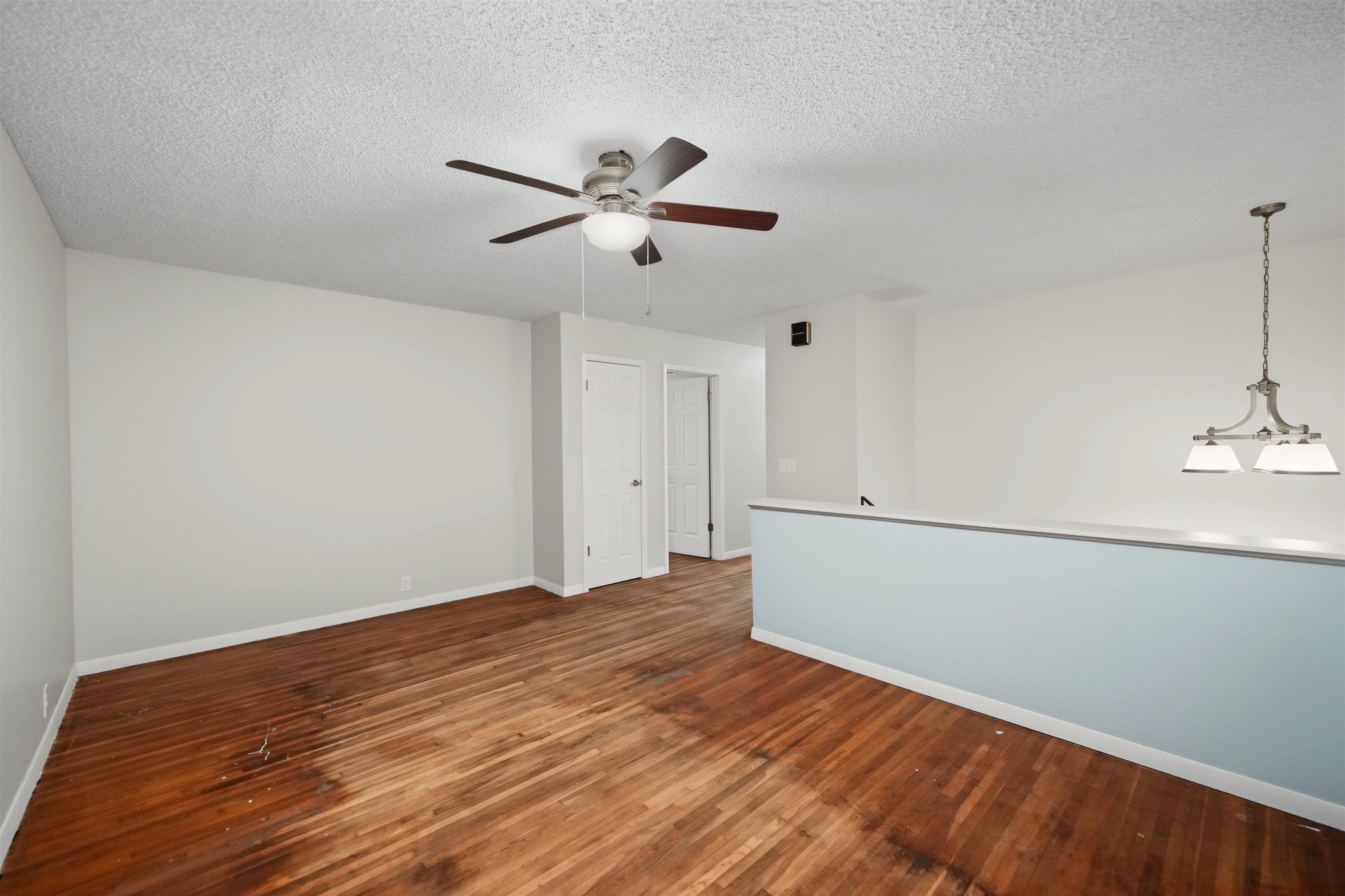 2449 Robin Property Photo 5