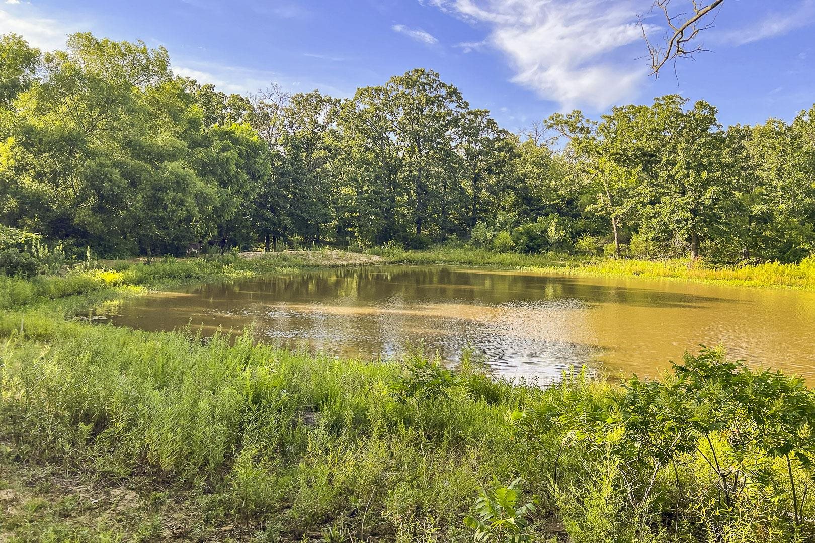 3092 1700 Rd Property Photo 9
